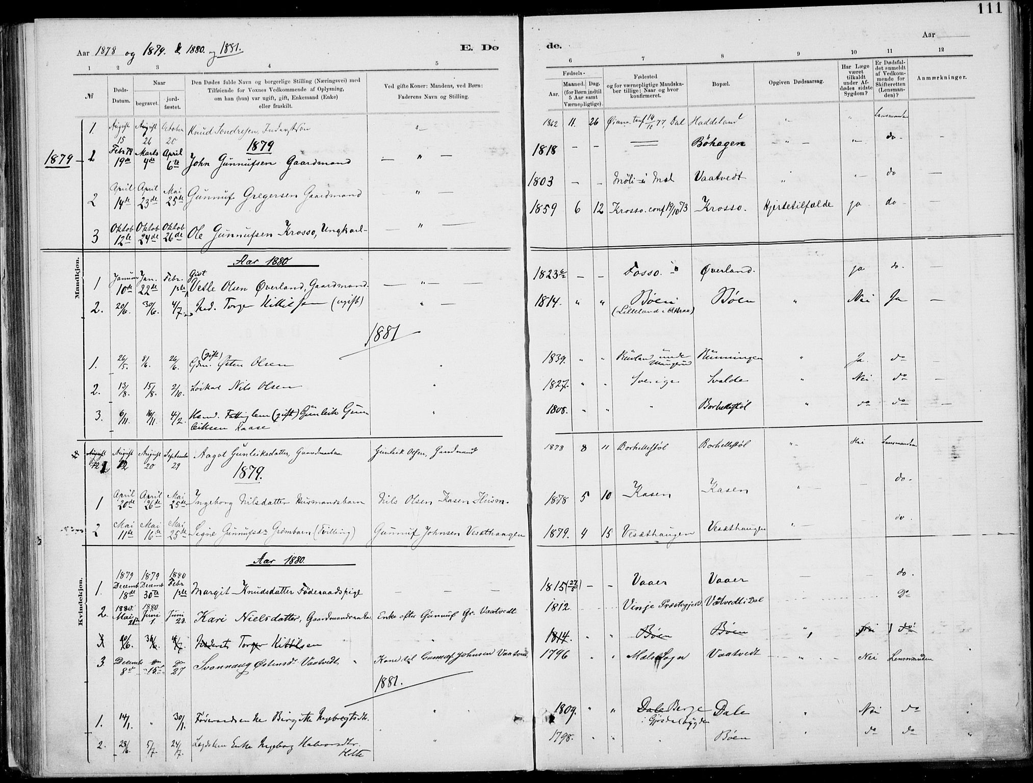 Rjukan kirkebøker, SAKO/A-294/F/Fa/L0001: Parish register (official) no. 1, 1878-1912, p. 111