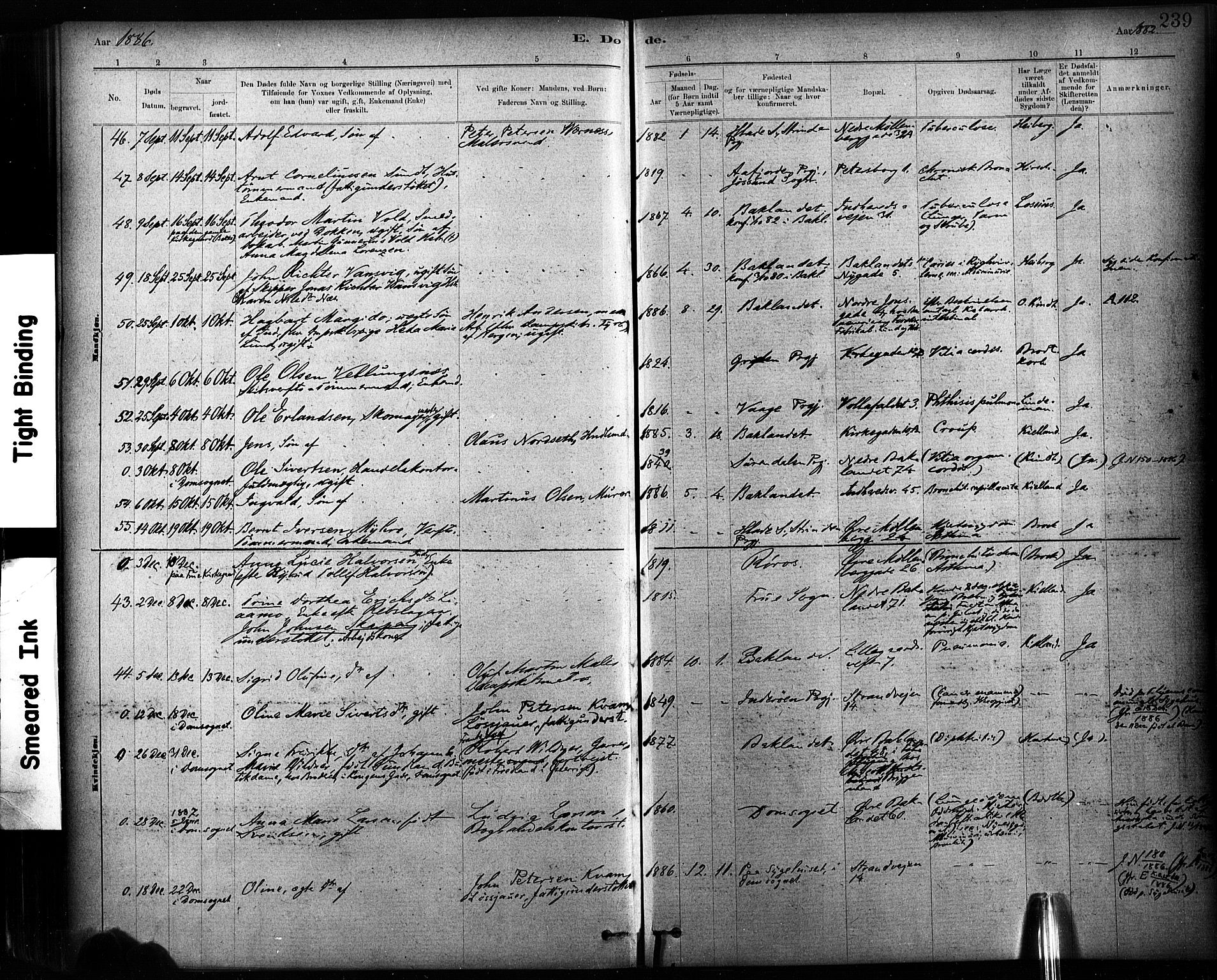 Ministerialprotokoller, klokkerbøker og fødselsregistre - Sør-Trøndelag, AV/SAT-A-1456/604/L0189: Parish register (official) no. 604A10, 1878-1892, p. 239