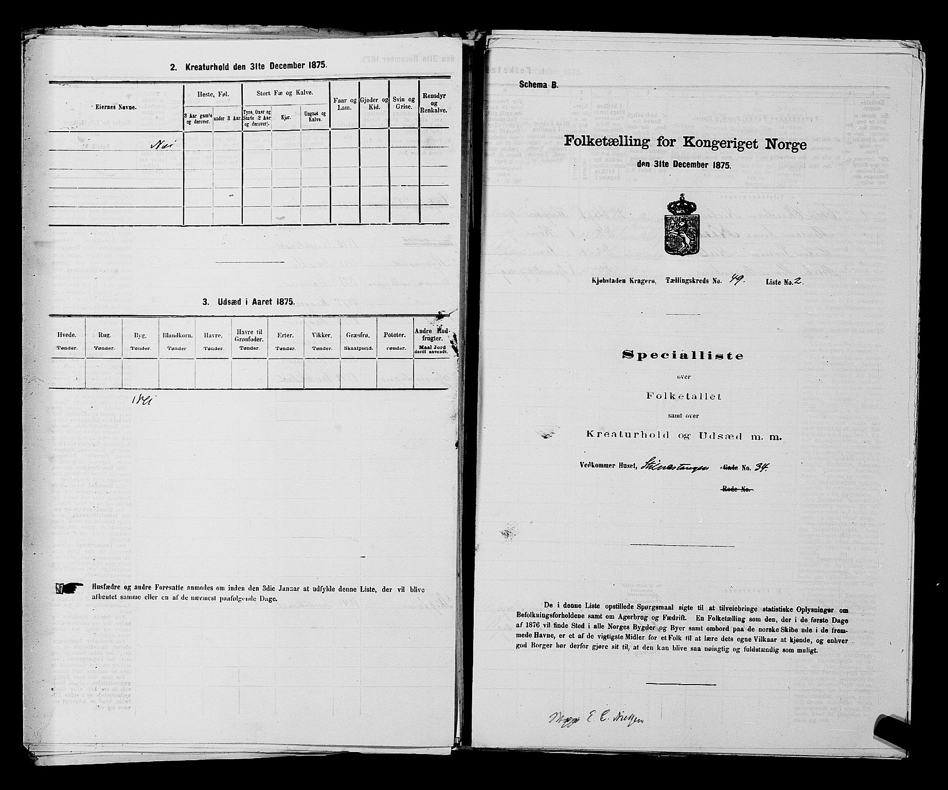 SAKO, 1875 census for 0801P Kragerø, 1875, p. 1081