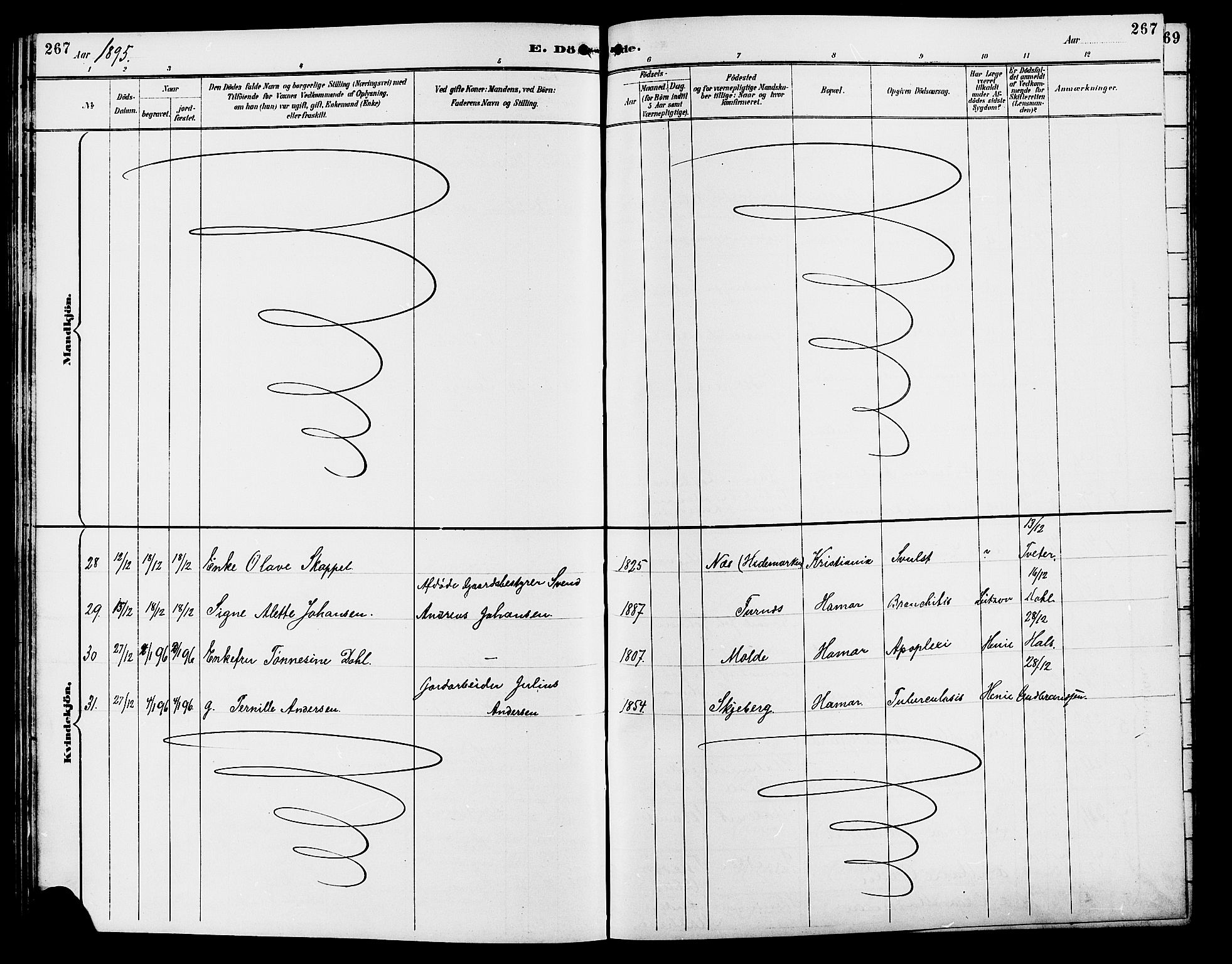 Vang prestekontor, Hedmark, AV/SAH-PREST-008/H/Ha/Hab/L0013: Parish register (copy) no. 13, 1890-1899, p. 267