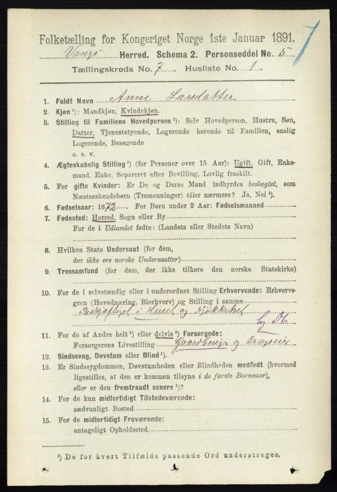 RA, 1891 census for 0414 Vang, 1891, p. 5030