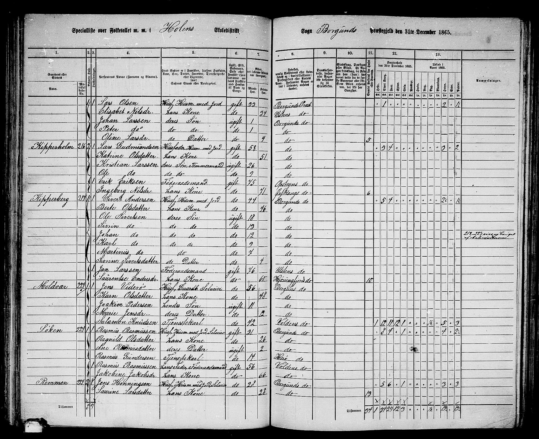 RA, 1865 census for Borgund, 1865, p. 113