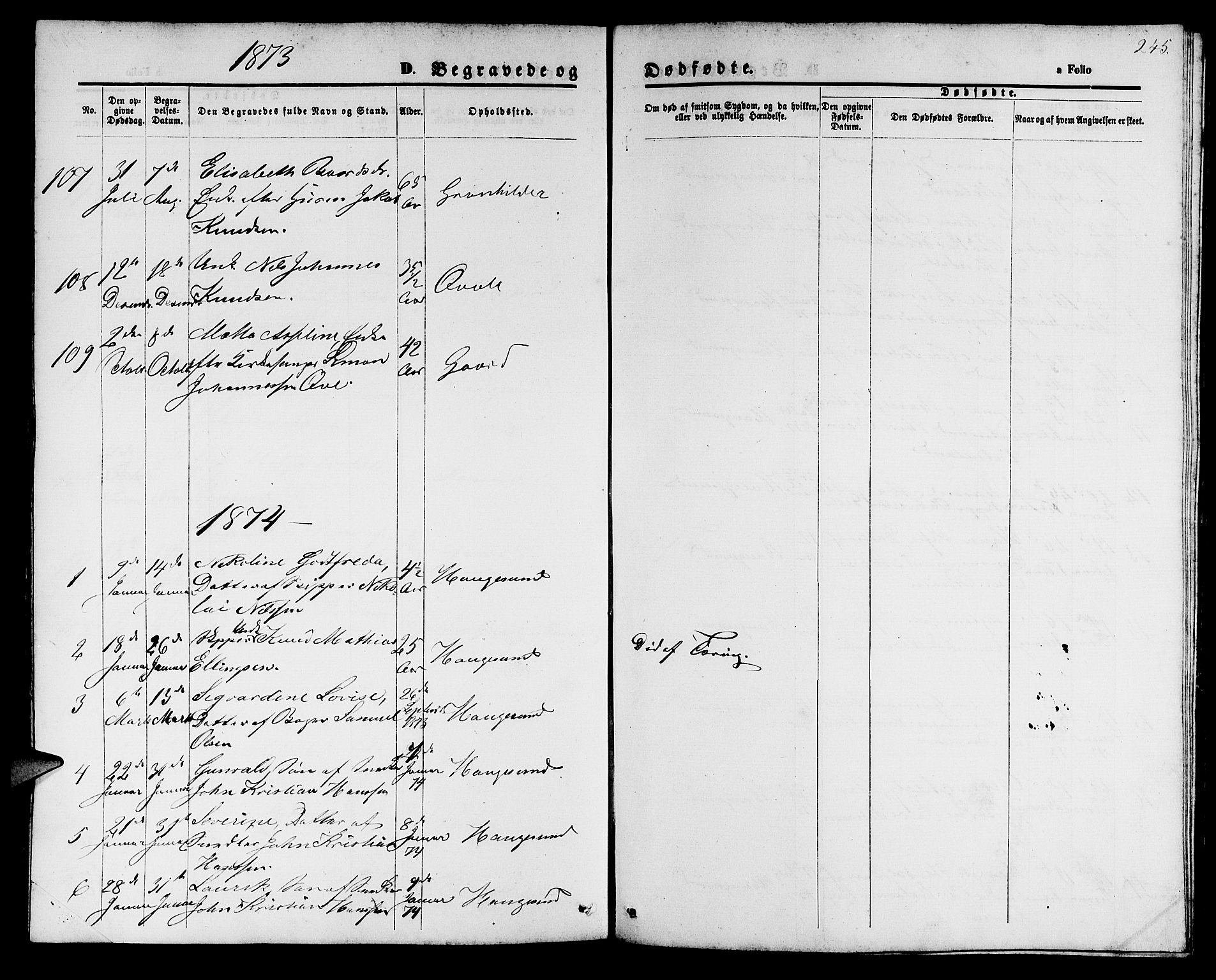 Haugesund sokneprestkontor, AV/SAST-A -101863/H/Ha/Hab/L0001: Parish register (copy) no. B 1, 1873-1881, p. 245