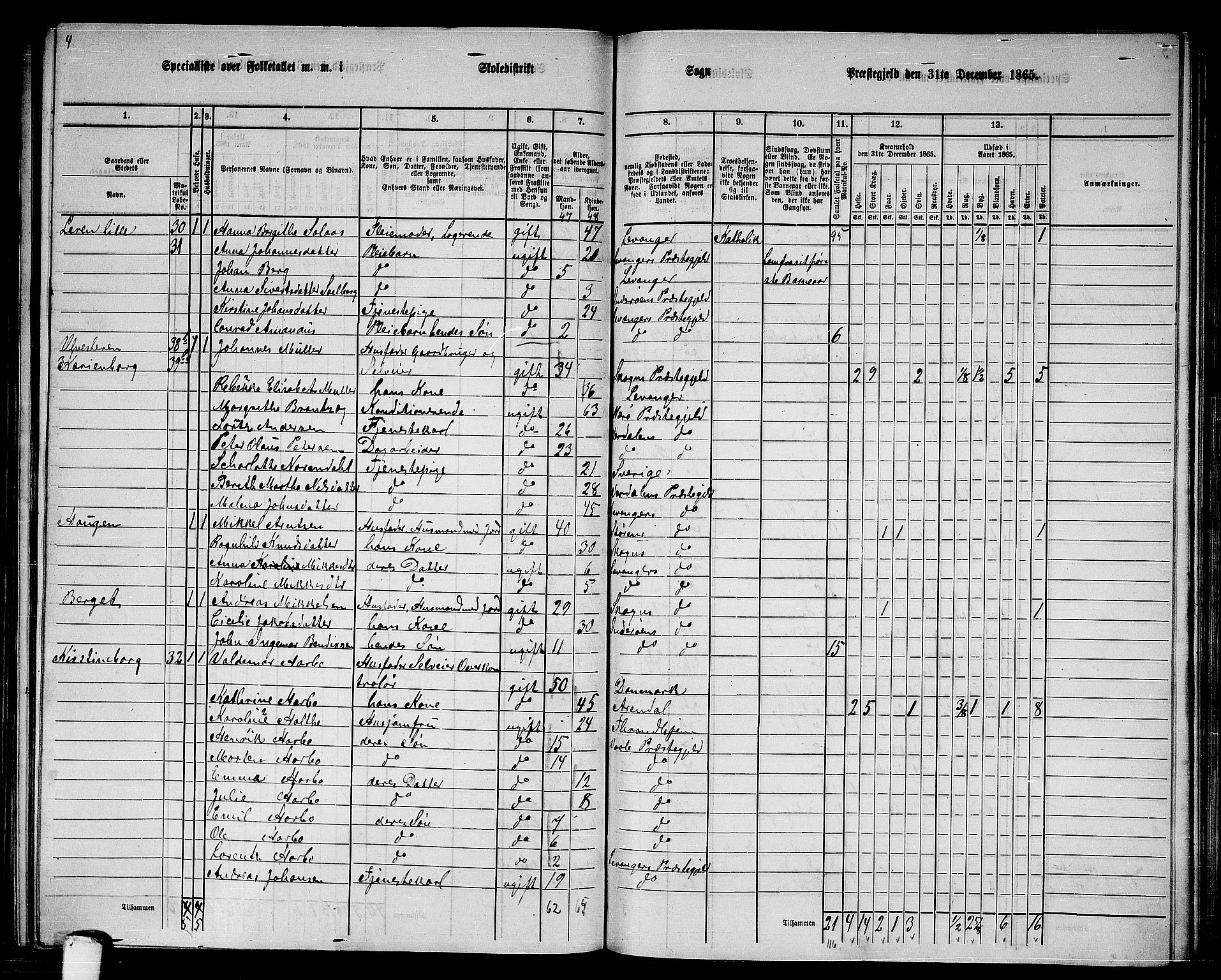 RA, 1865 census for Levanger/Levanger, 1865, p. 30