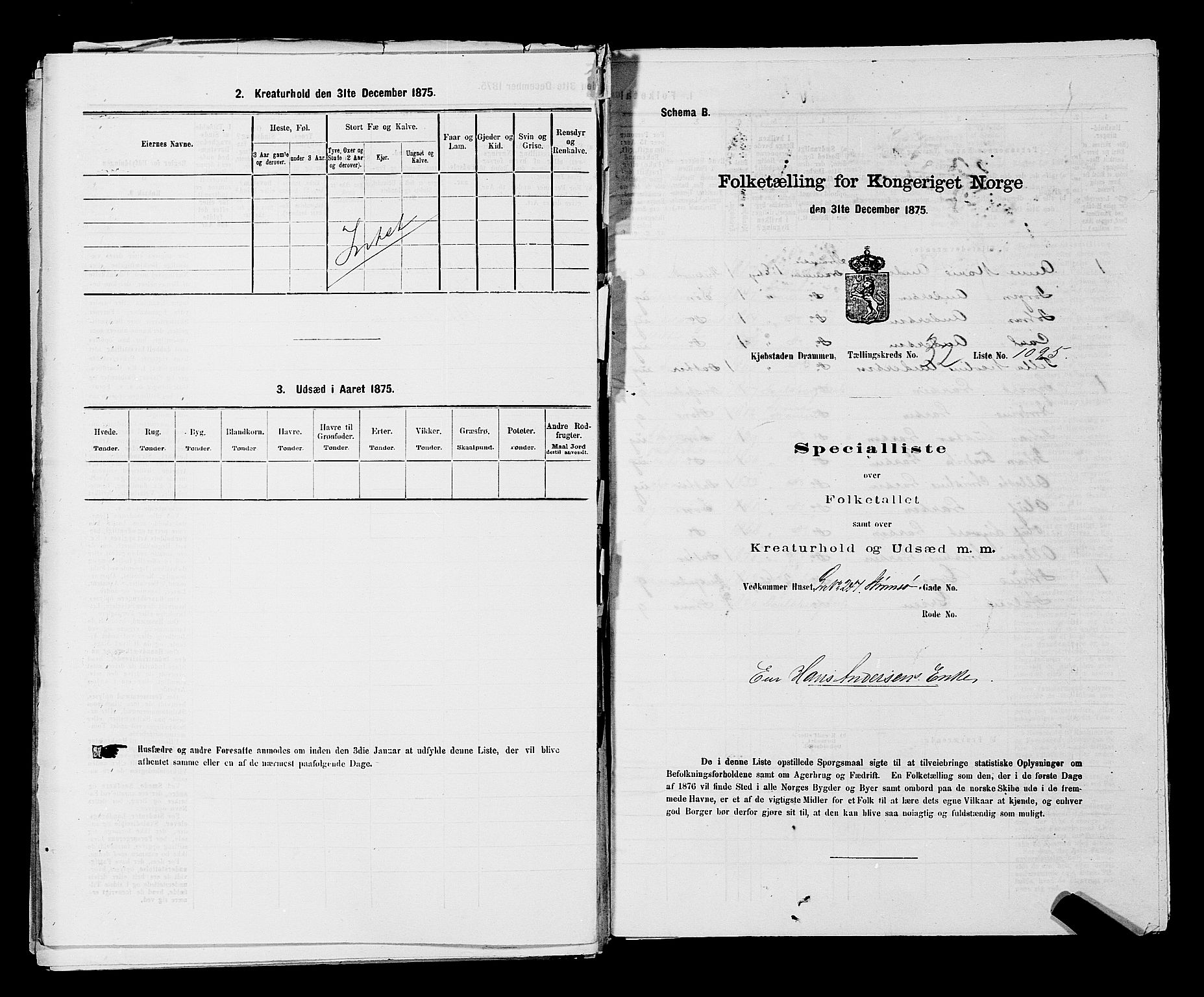 SAKO, 1875 census for 0602 Drammen, 1875, p. 2923