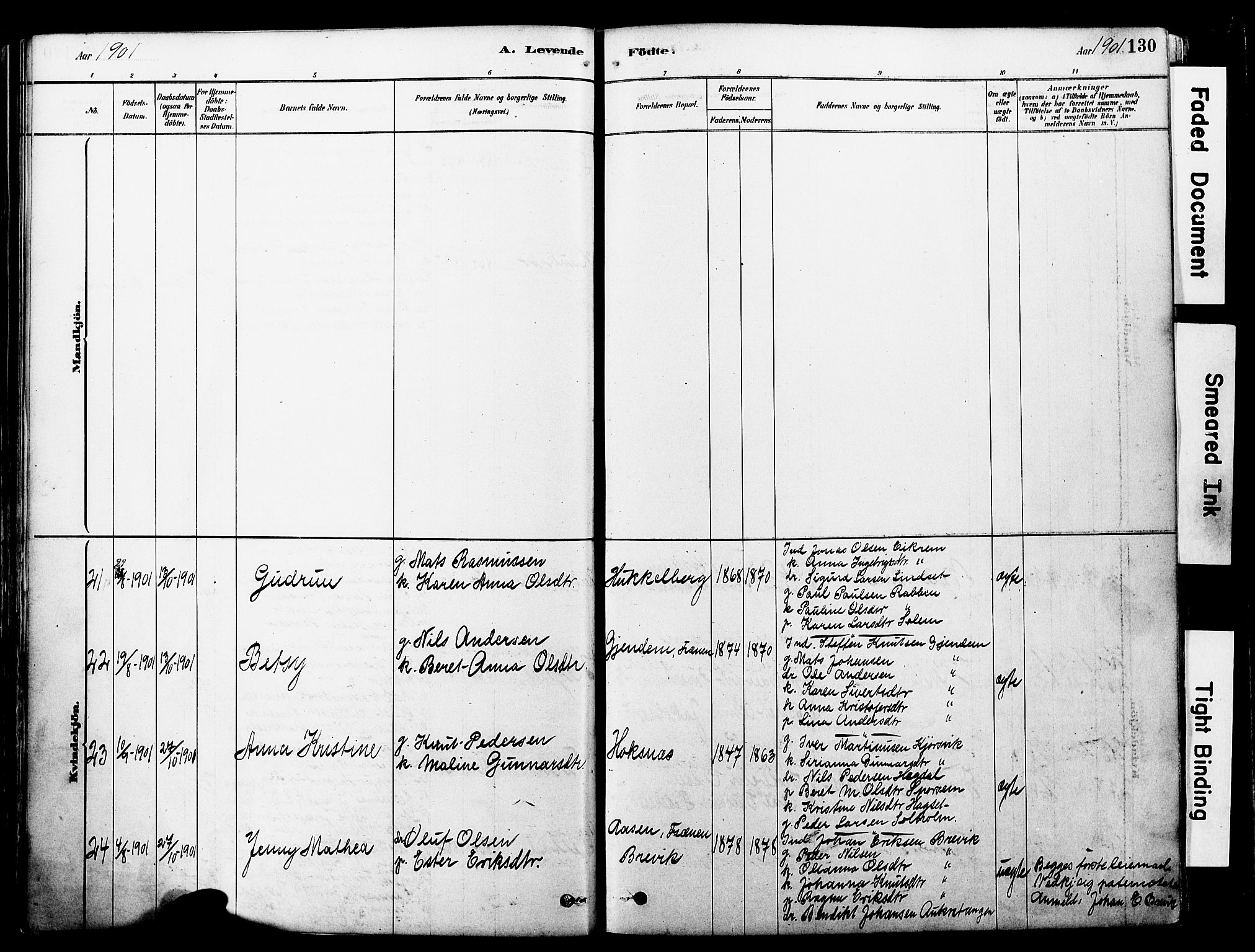 Ministerialprotokoller, klokkerbøker og fødselsregistre - Møre og Romsdal, AV/SAT-A-1454/560/L0721: Parish register (official) no. 560A05, 1878-1917, p. 130