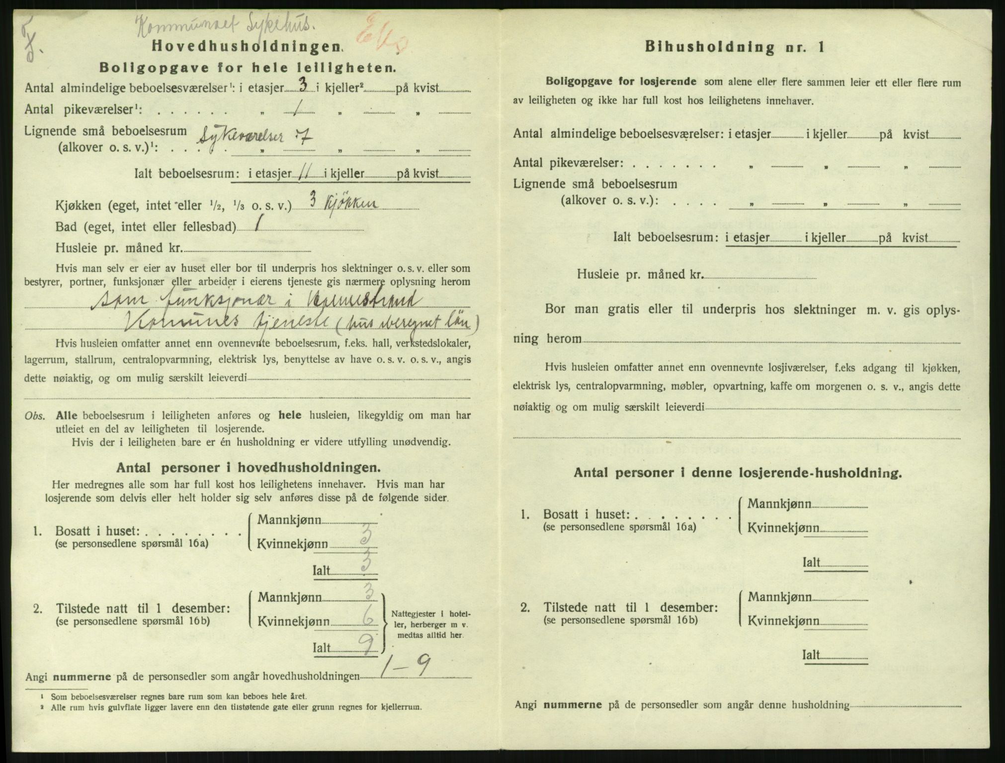 SAKO, 1920 census for Holmestrand, 1920, p. 1439