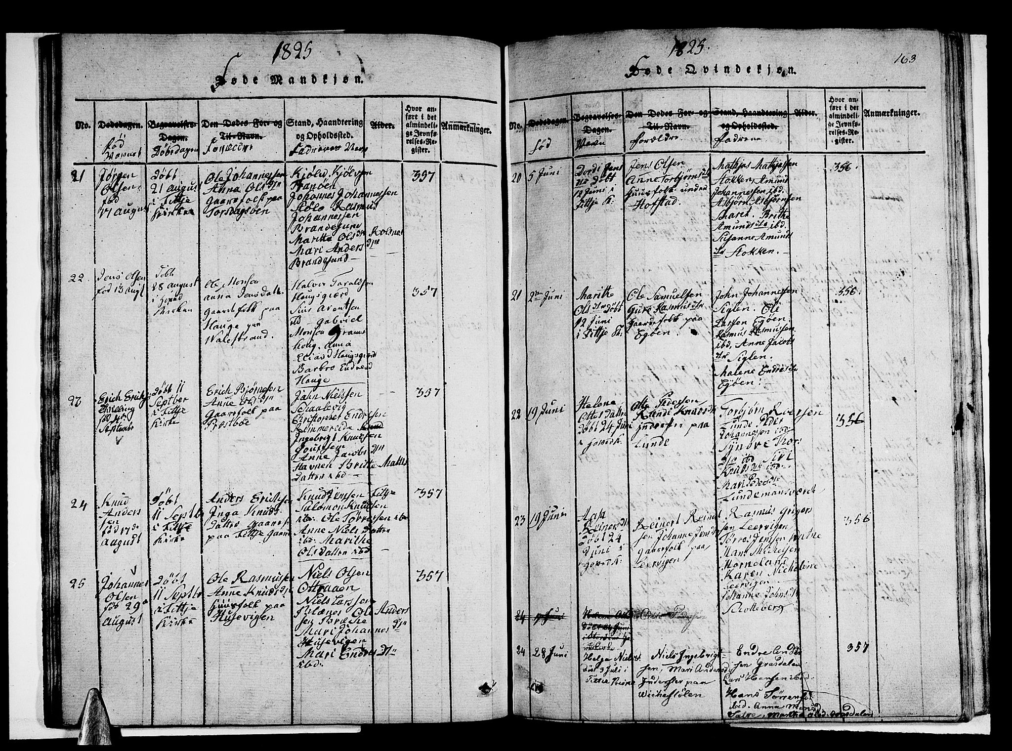 Stord sokneprestembete, AV/SAB-A-78201/H/Haa: Parish register (official) no. A 5, 1816-1825, p. 163