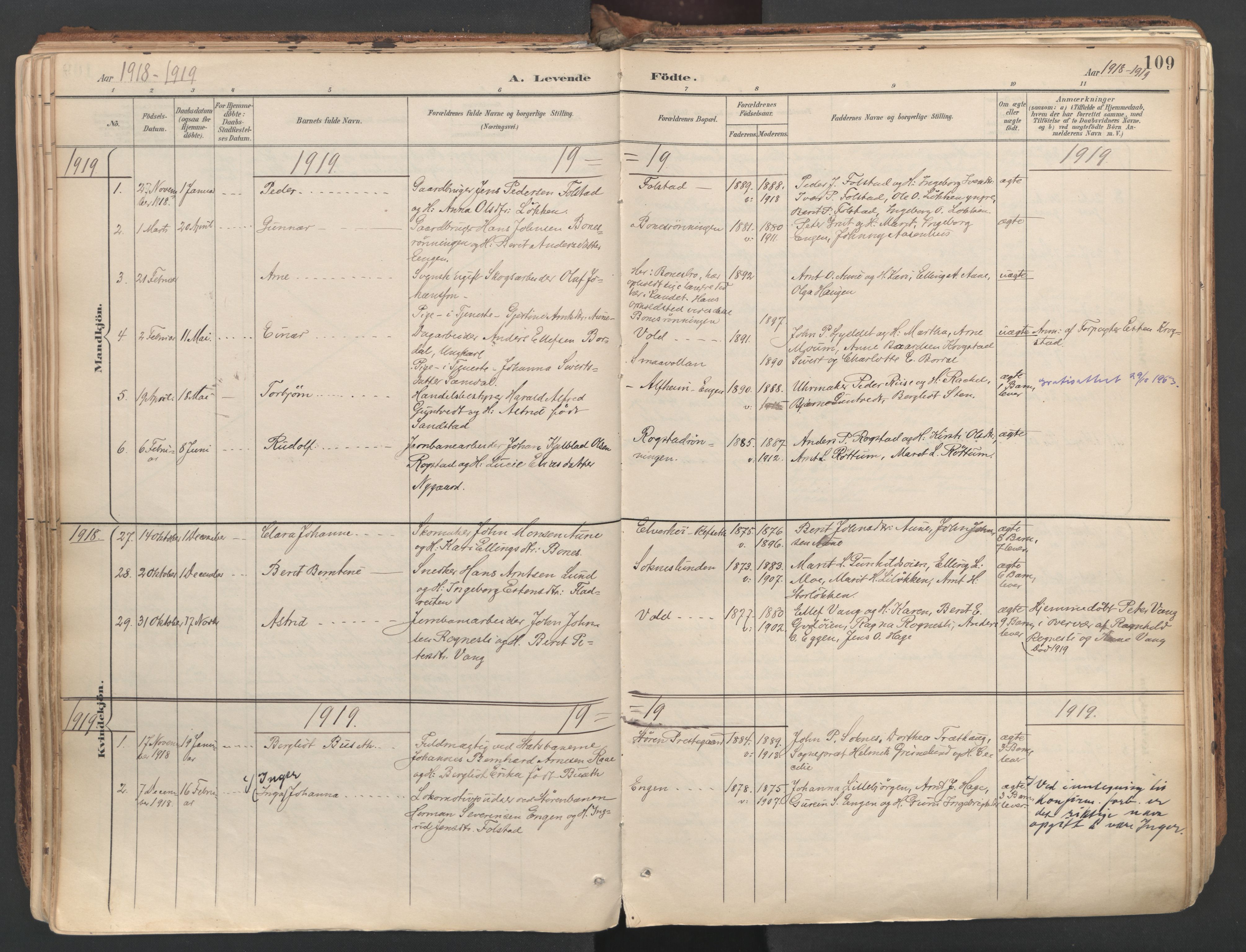 Ministerialprotokoller, klokkerbøker og fødselsregistre - Sør-Trøndelag, SAT/A-1456/687/L1004: Parish register (official) no. 687A10, 1891-1923, p. 109