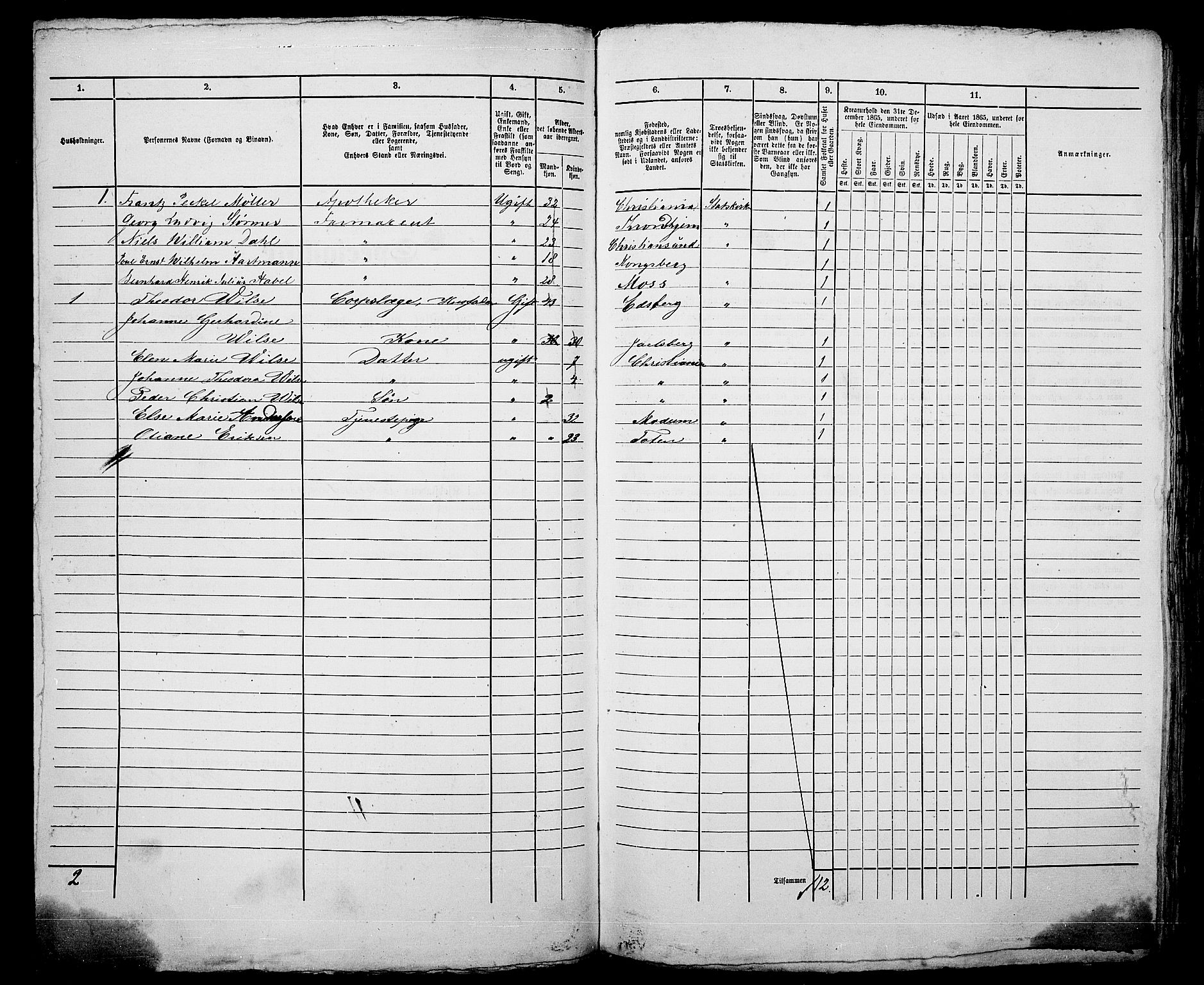RA, 1865 census for Kristiania, 1865, p. 393
