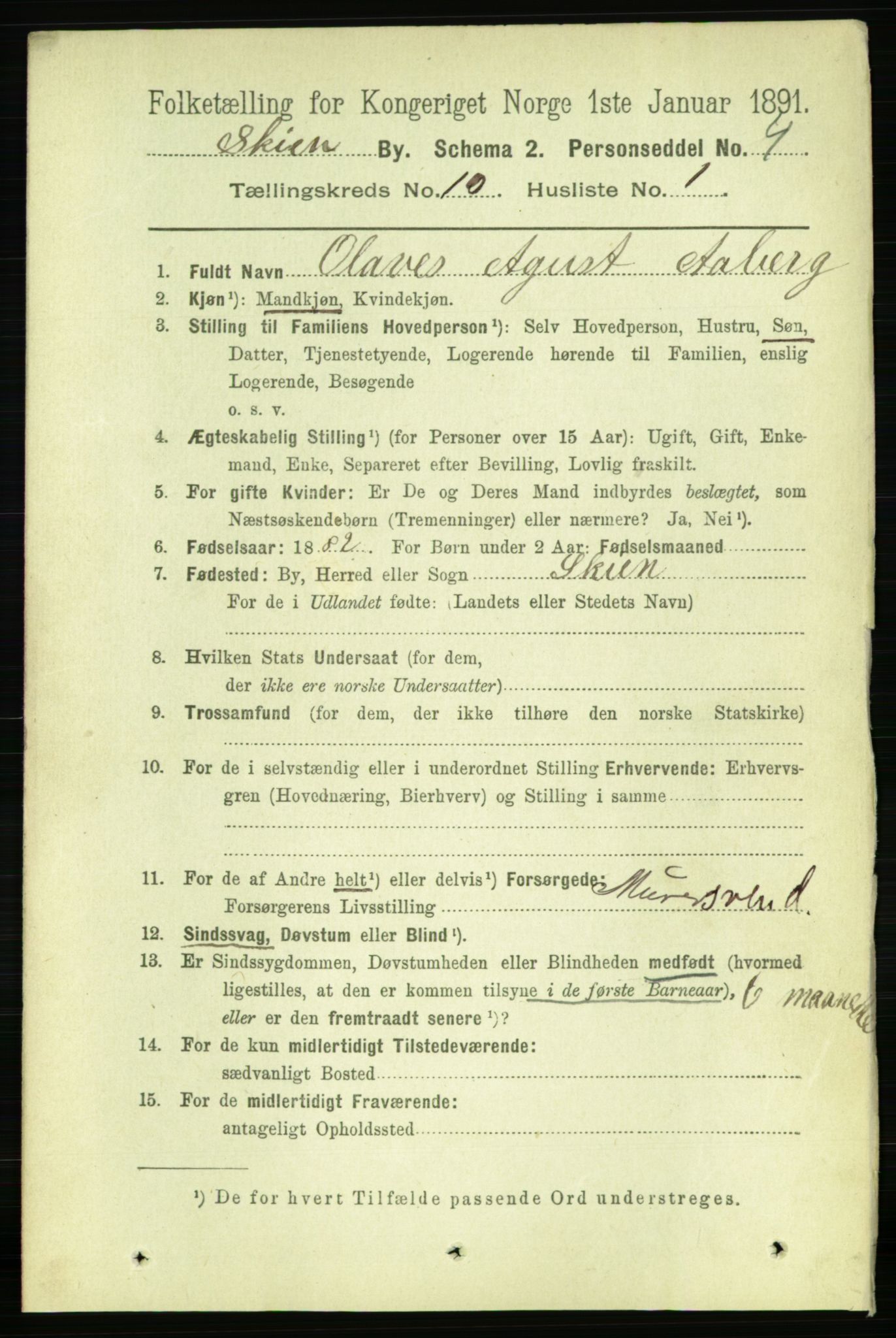 RA, 1891 census for 0806 Skien, 1891, p. 3583