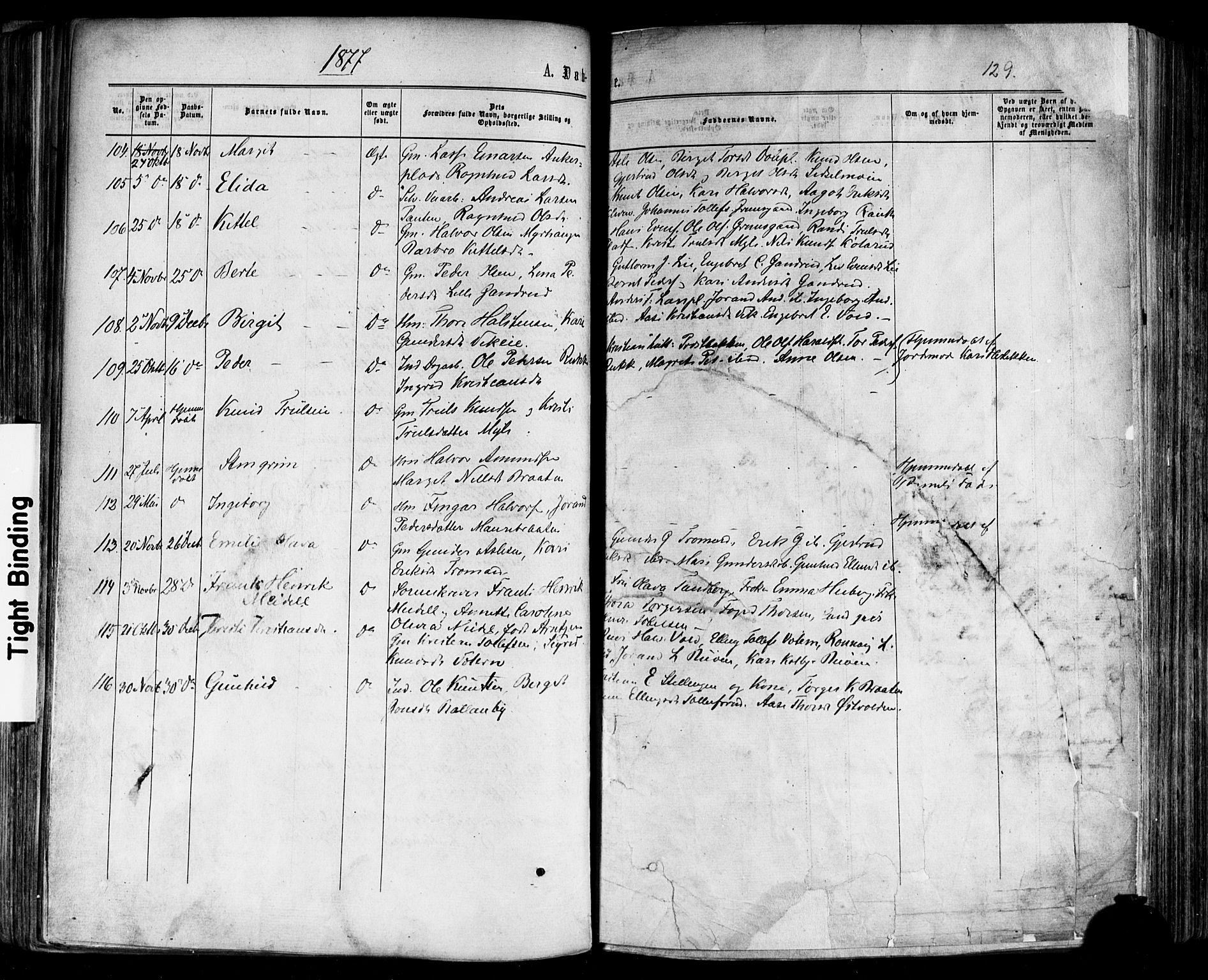 Nes kirkebøker, AV/SAKO-A-236/F/Fa/L0010: Parish register (official) no. 10, 1864-1880, p. 129