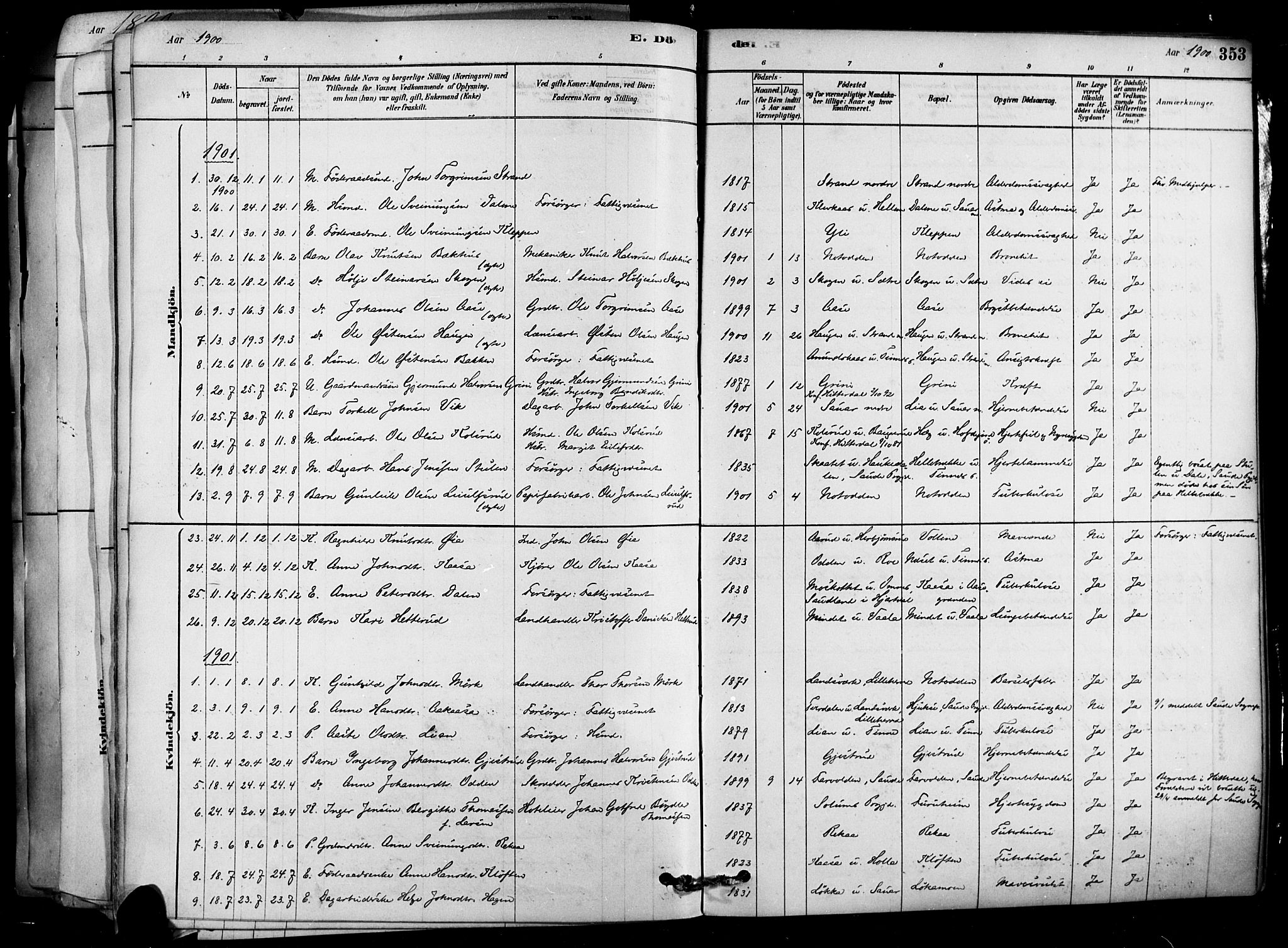 Heddal kirkebøker, SAKO/A-268/F/Fa/L0008: Parish register (official) no. I 8, 1878-1903, p. 353