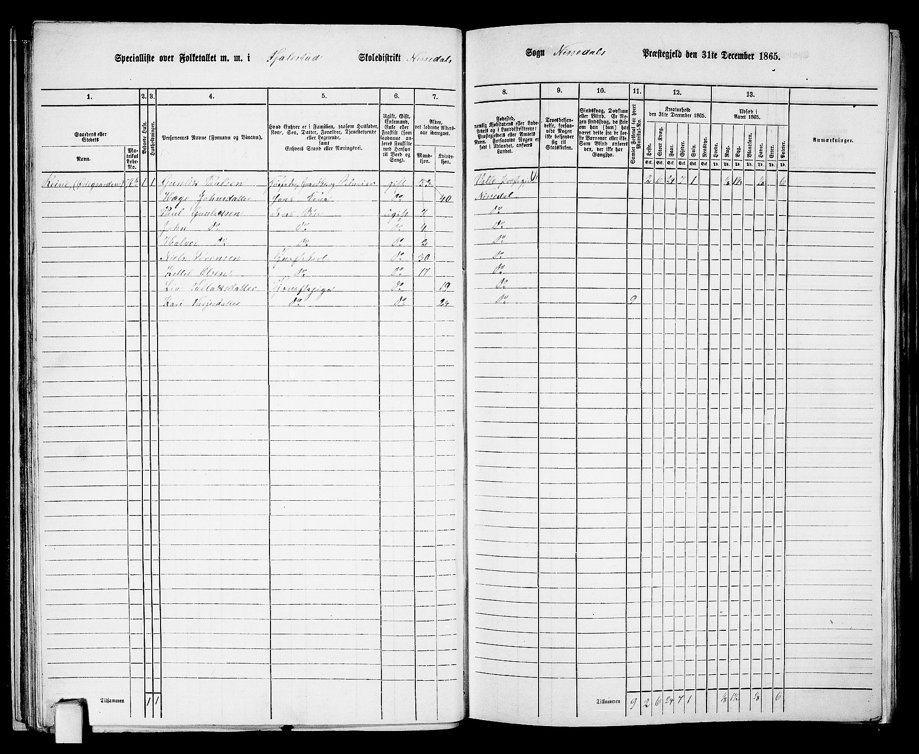 RA, 1865 census for Nissedal, 1865, p. 39