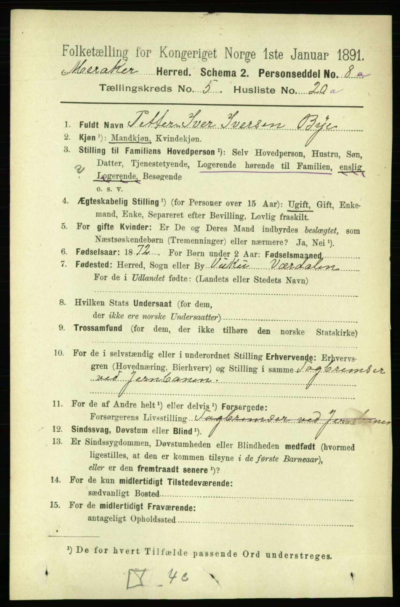 RA, 1891 census for 1711 Meråker, 1891, p. 2007
