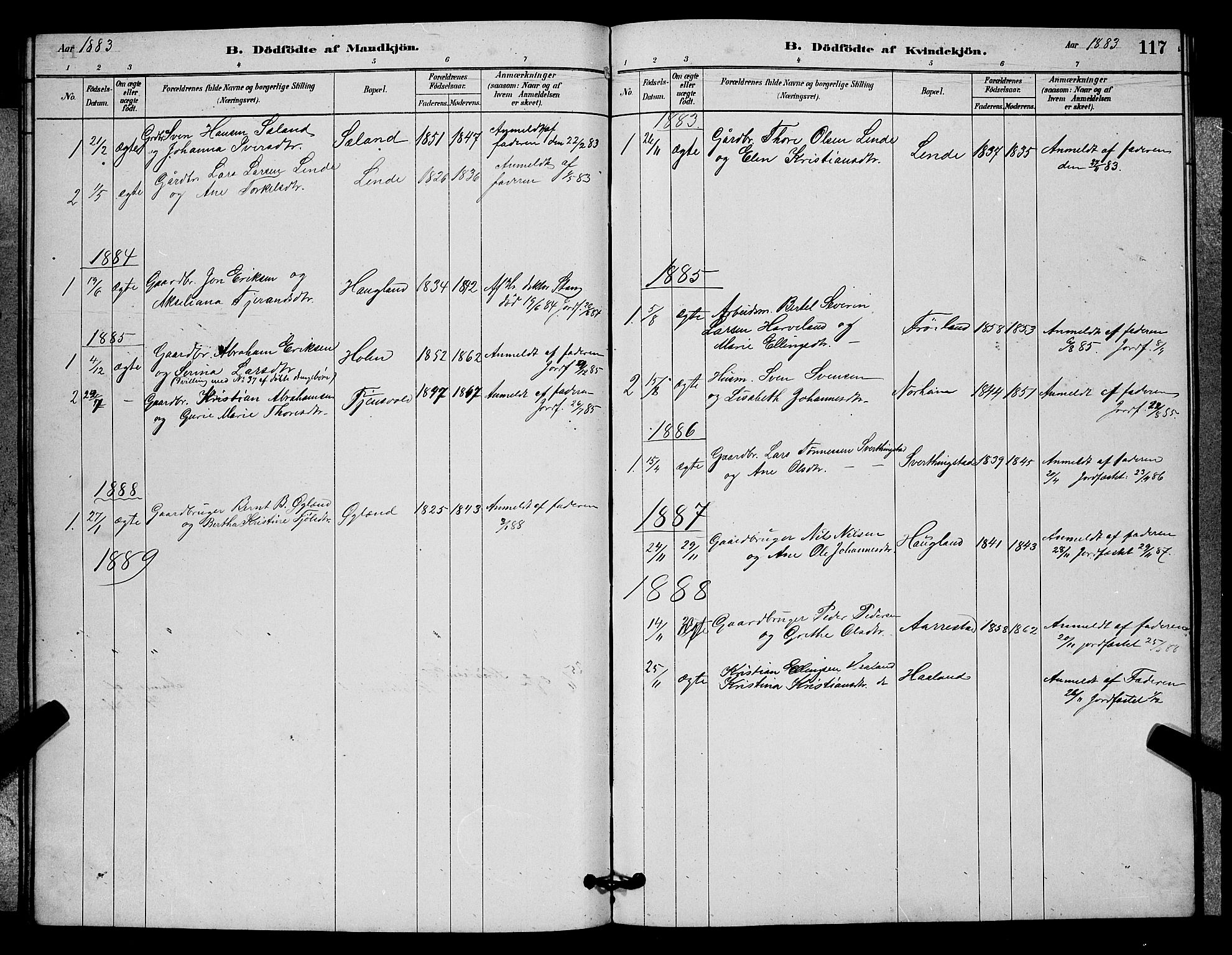 Lye sokneprestkontor, AV/SAST-A-101794/001/30BB/L0006: Parish register (copy) no. B 6, 1879-1888, p. 117