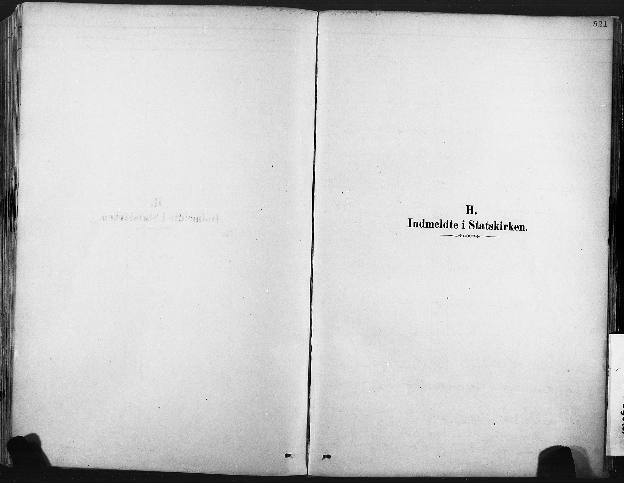 Porsgrunn kirkebøker , SAKO/A-104/F/Fa/L0008: Parish register (official) no. 8, 1878-1895, p. 521