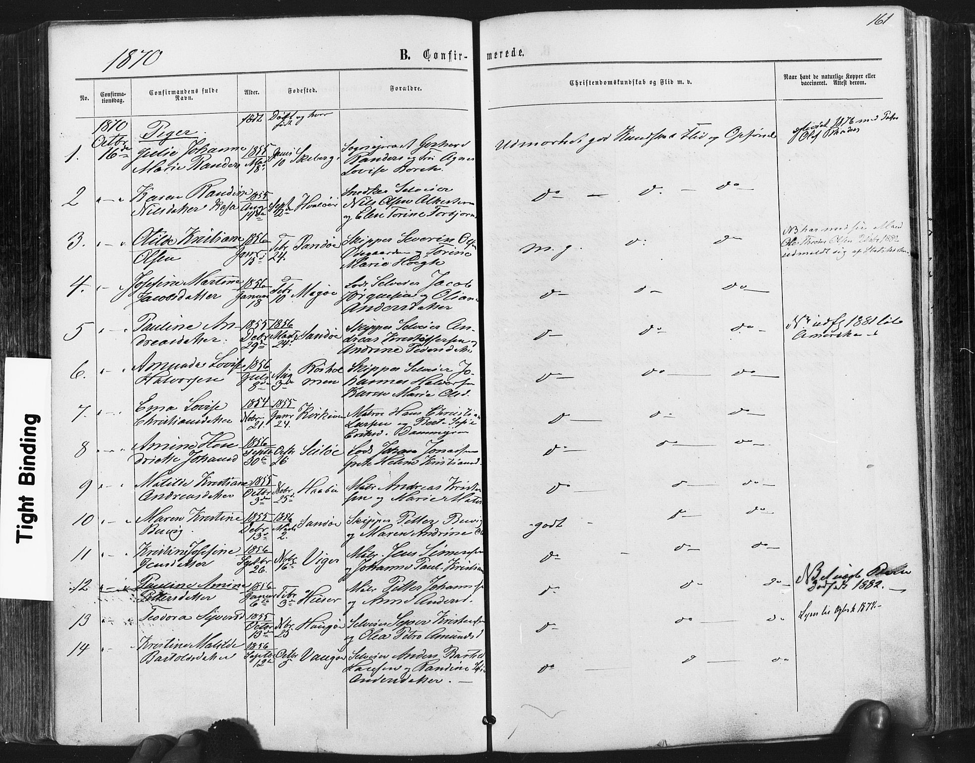 Hvaler prestekontor Kirkebøker, AV/SAO-A-2001/F/Fa/L0007: Parish register (official) no. I 7, 1864-1878, p. 161