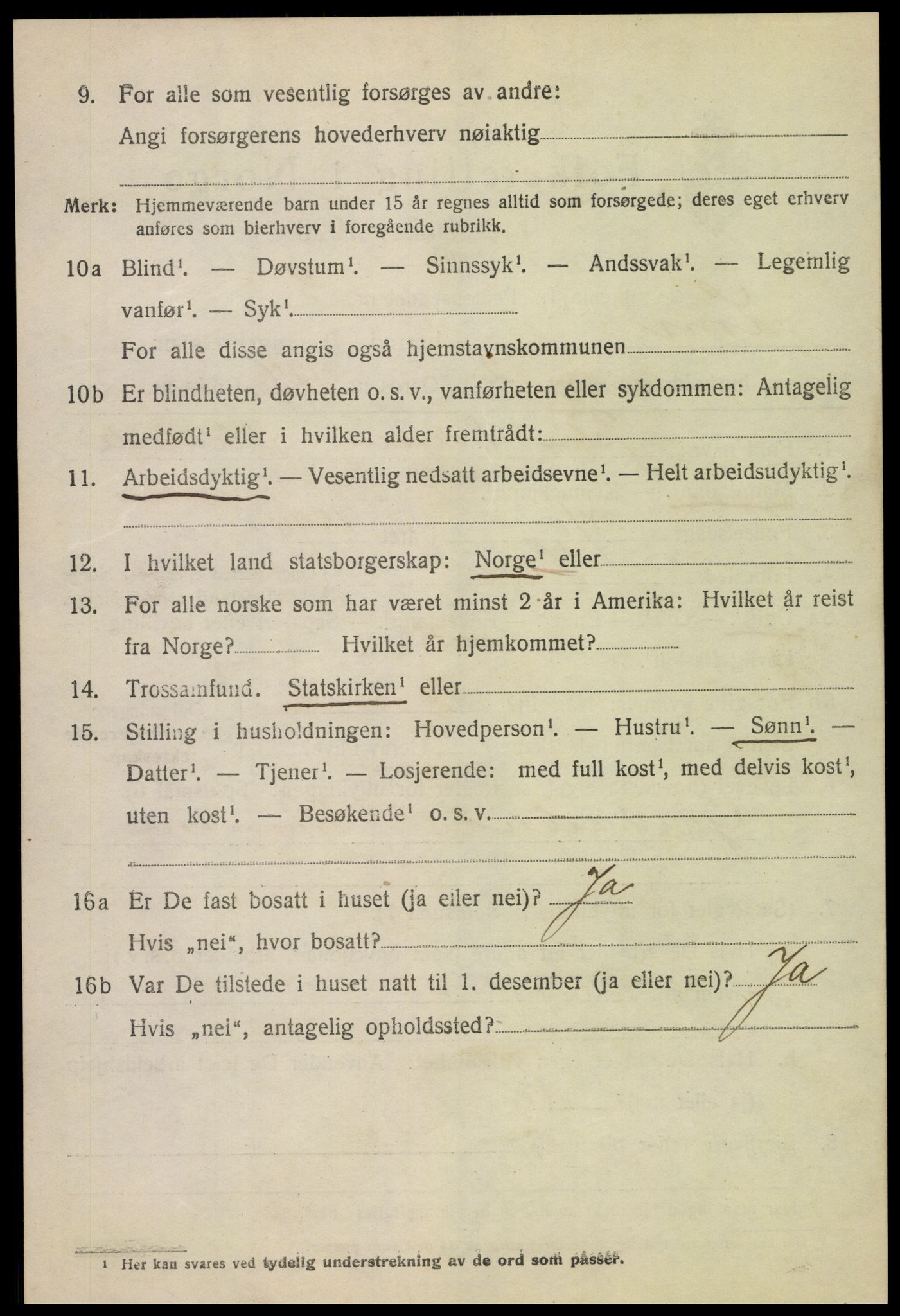 SAH, 1920 census for Lom, 1920, p. 5089