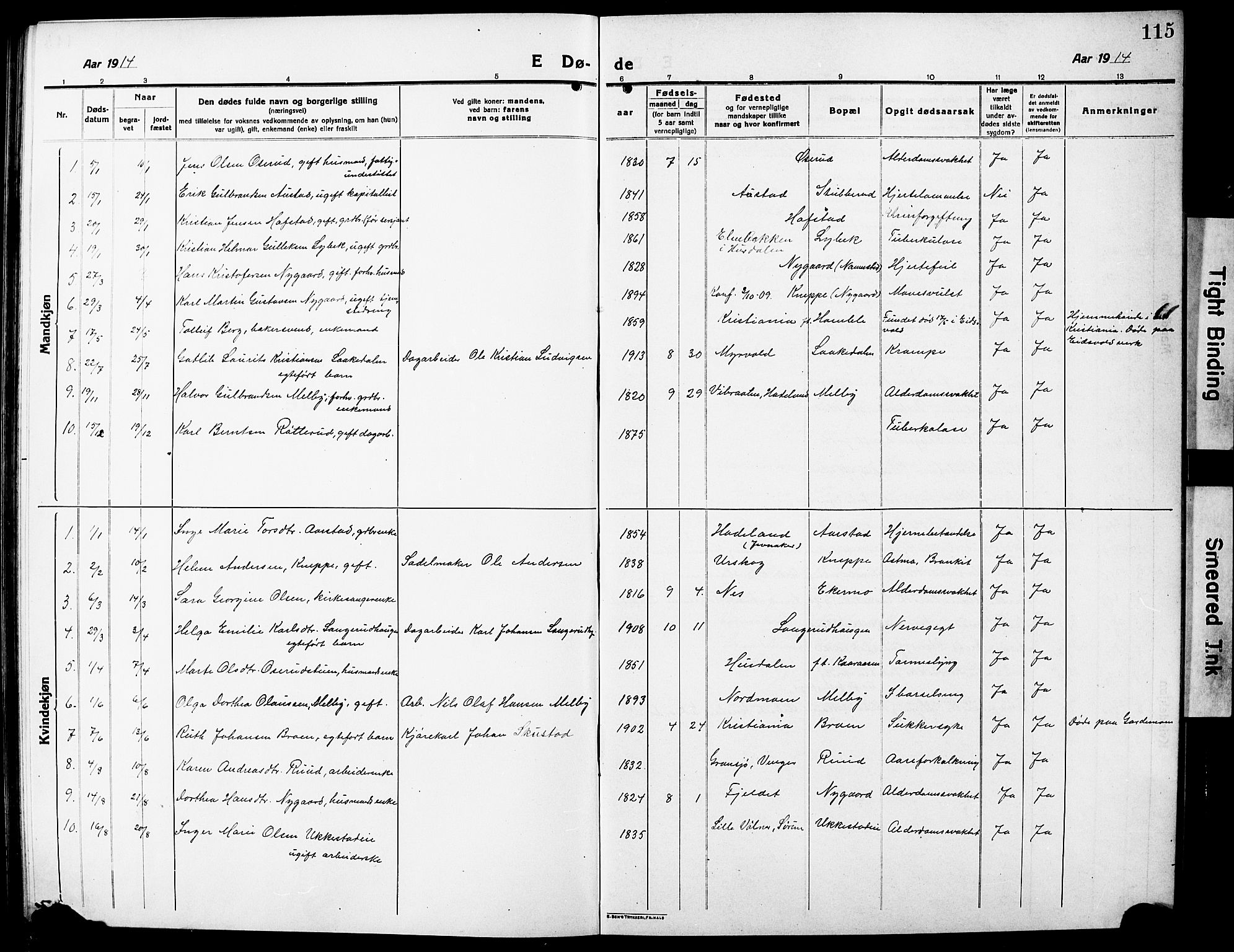 Nannestad prestekontor Kirkebøker, AV/SAO-A-10414a/G/Ga/L0003: Parish register (copy) no. I 3, 1914-1929, p. 115