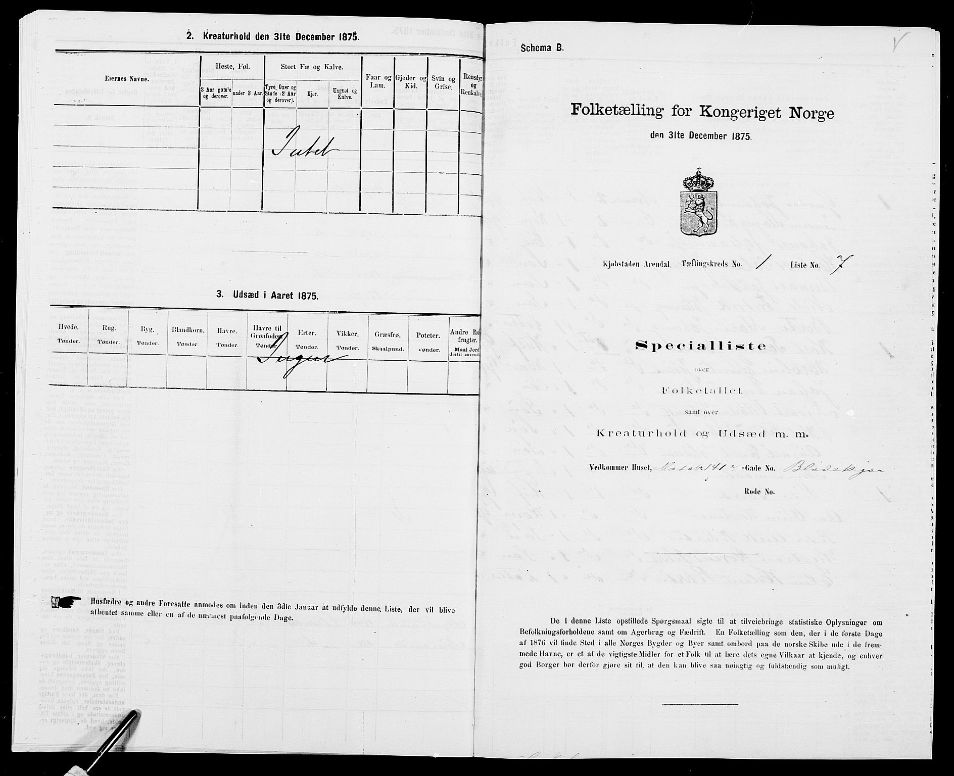 SAK, 1875 census for 0903P Arendal, 1875, p. 23