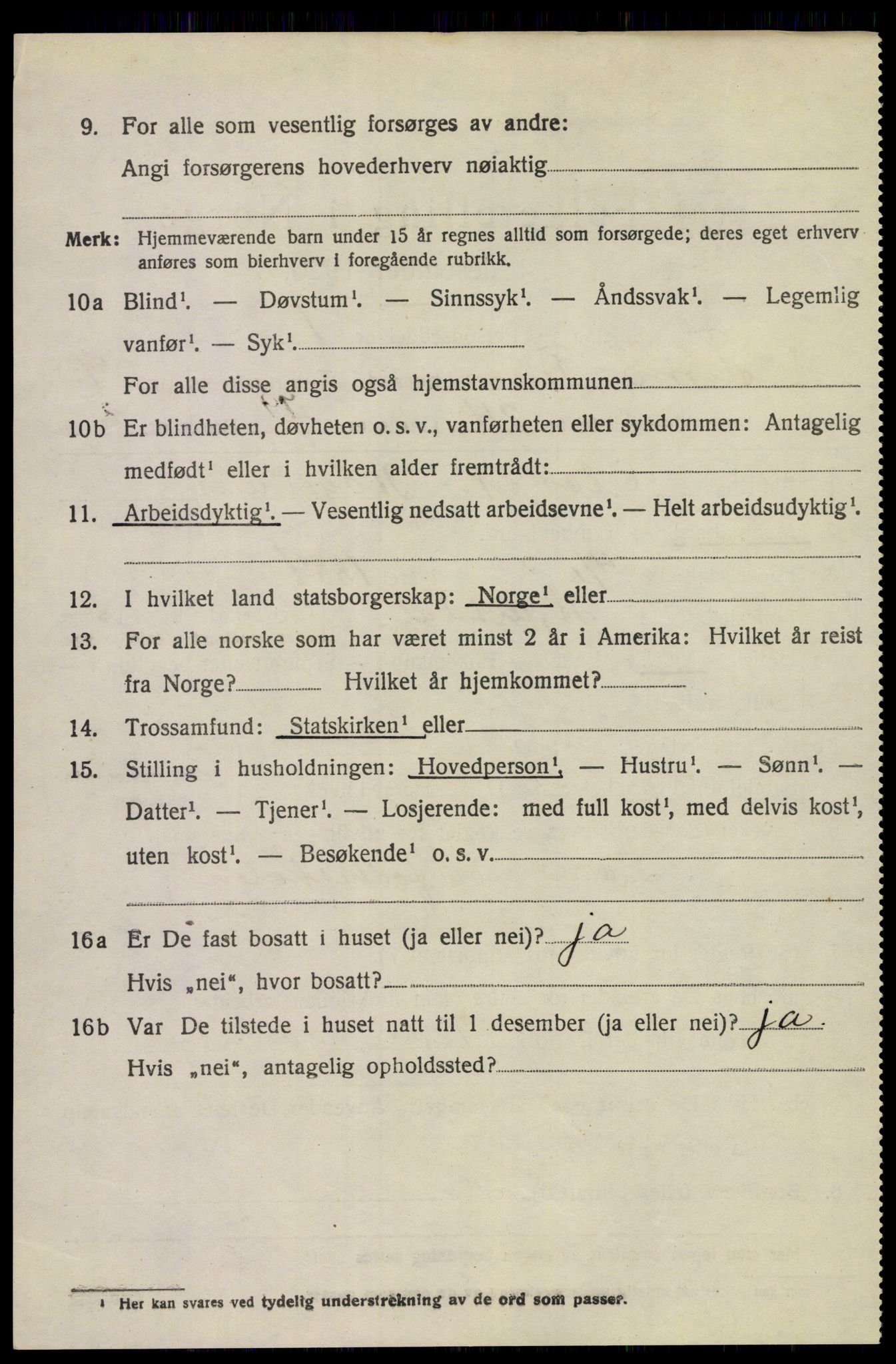 SAKO, 1920 census for Tinn, 1920, p. 5081