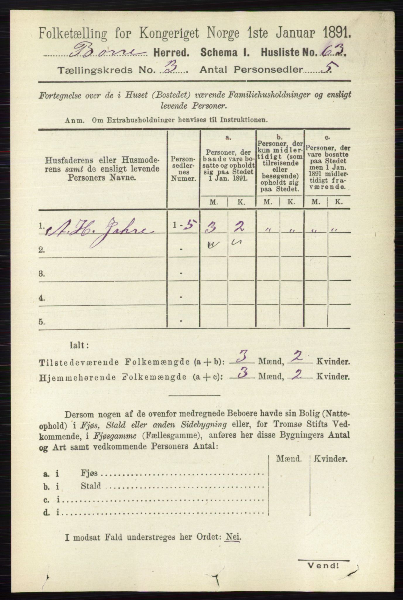 RA, 1891 census for 0717 Borre, 1891, p. 1206