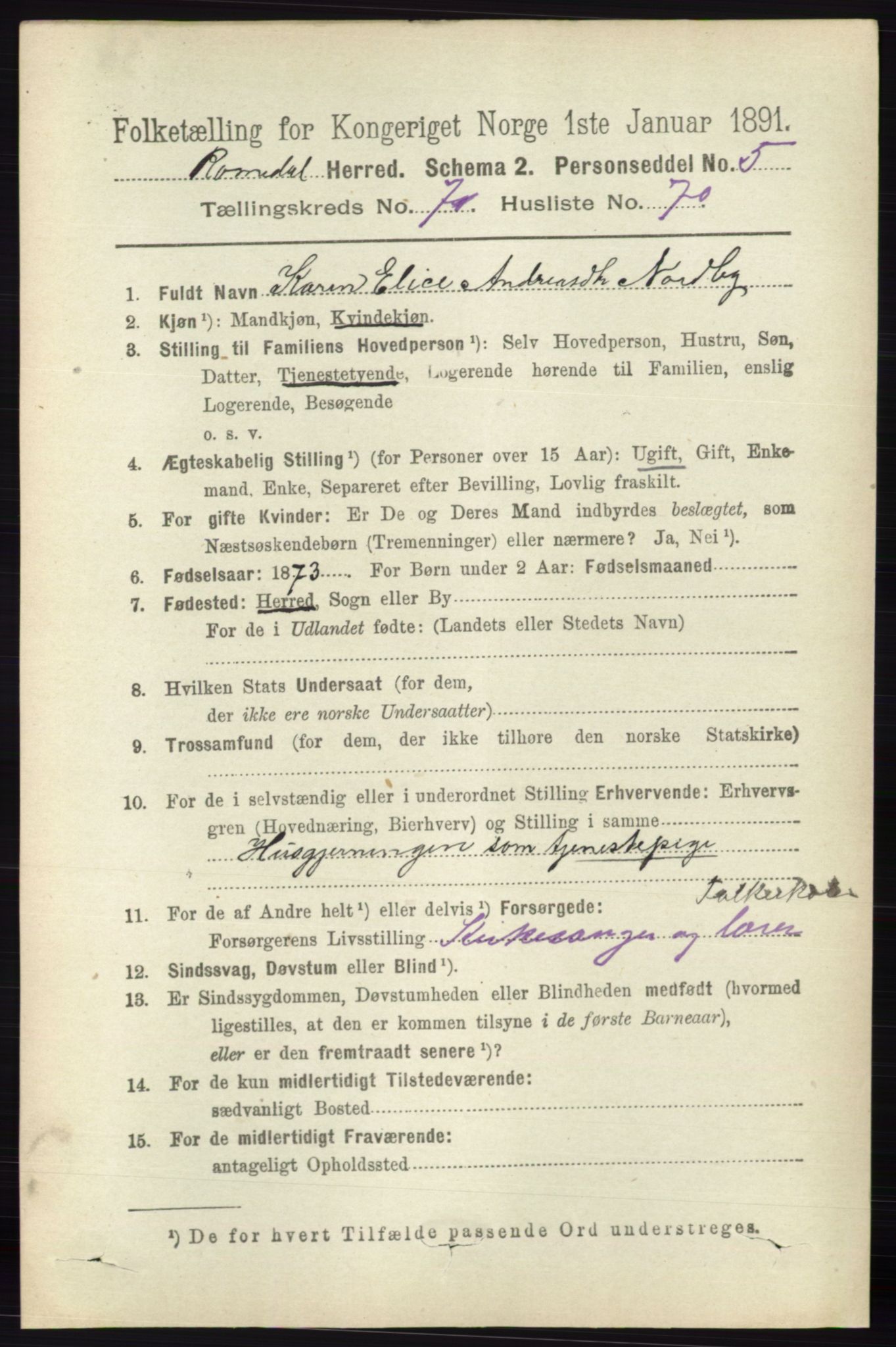 RA, 1891 census for 0416 Romedal, 1891, p. 3896
