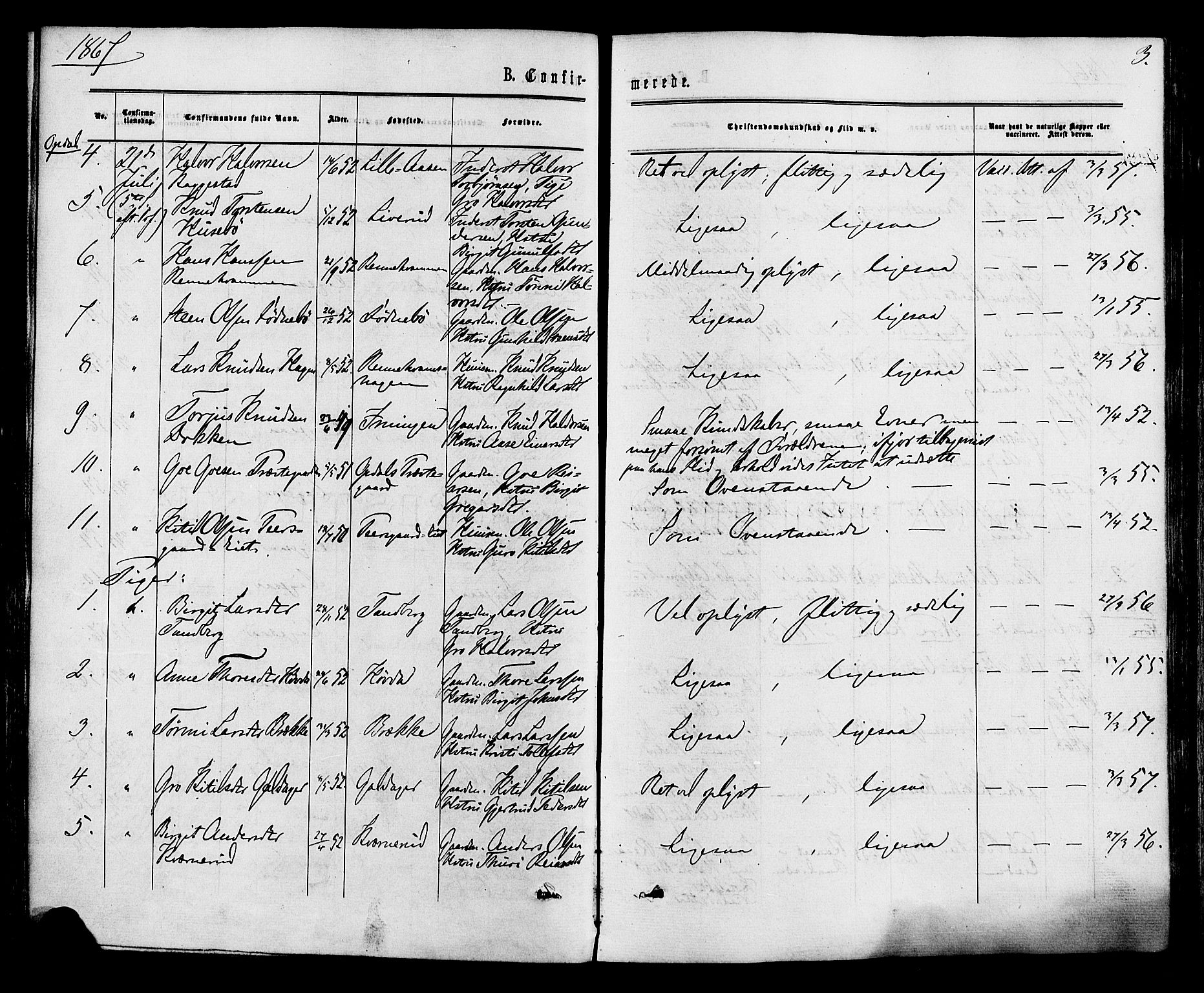 Nore kirkebøker, AV/SAKO-A-238/F/Fa/L0004: Parish register (official) no. I 4, 1867-1877, p. 3