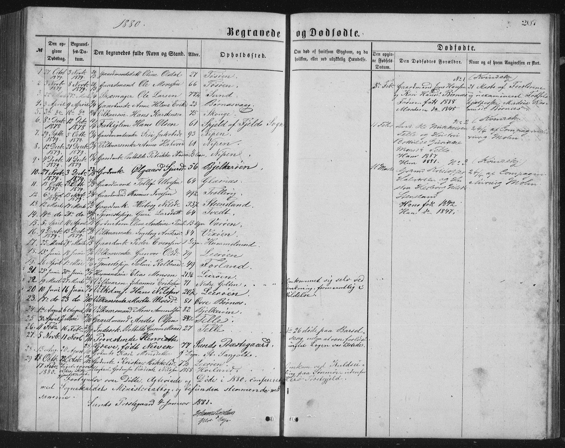 Sund sokneprestembete, SAB/A-99930: Parish register (copy) no. B 2, 1874-1881, p. 207