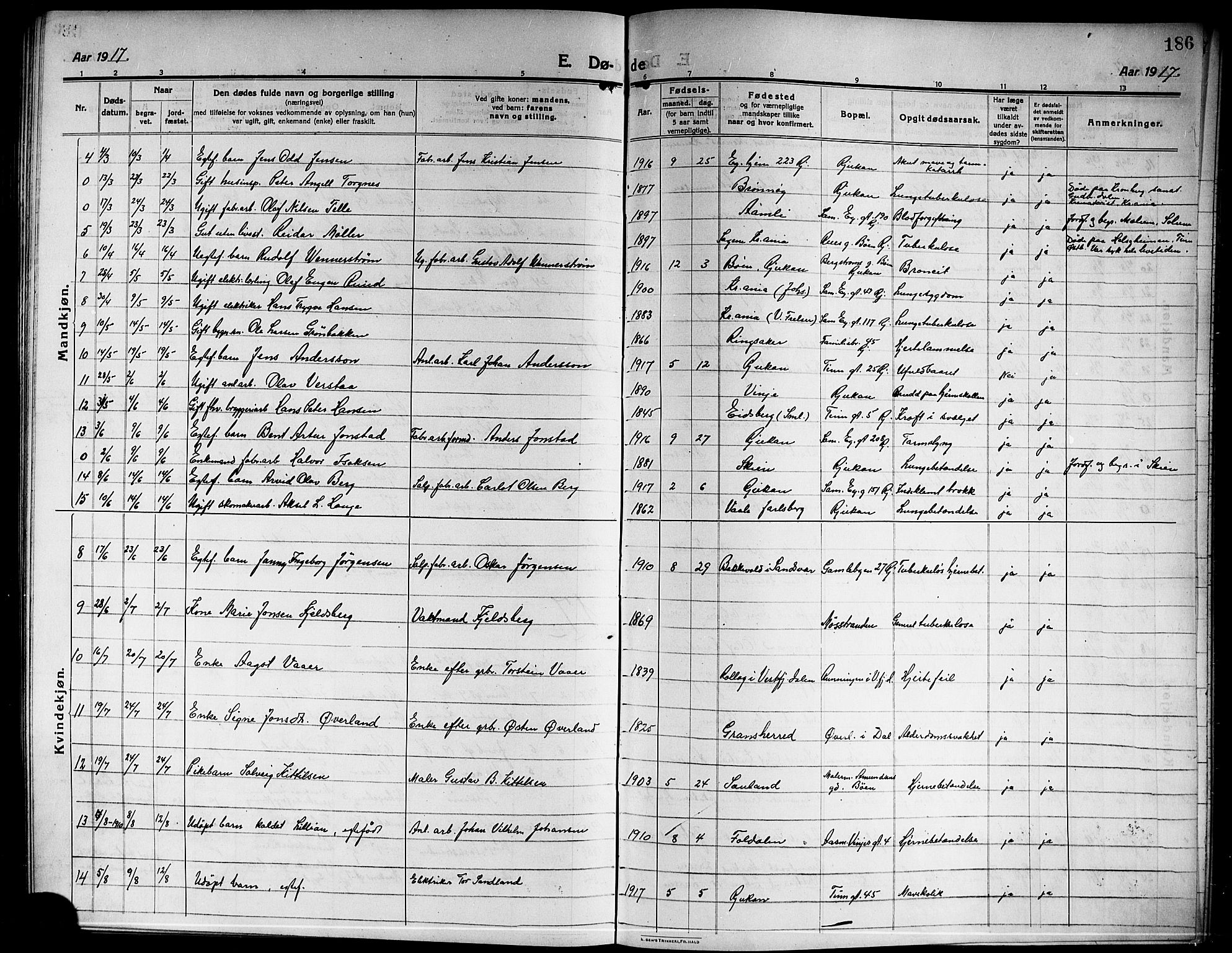 Rjukan kirkebøker, SAKO/A-294/G/Ga/L0002: Parish register (copy) no. 2, 1913-1920, p. 186