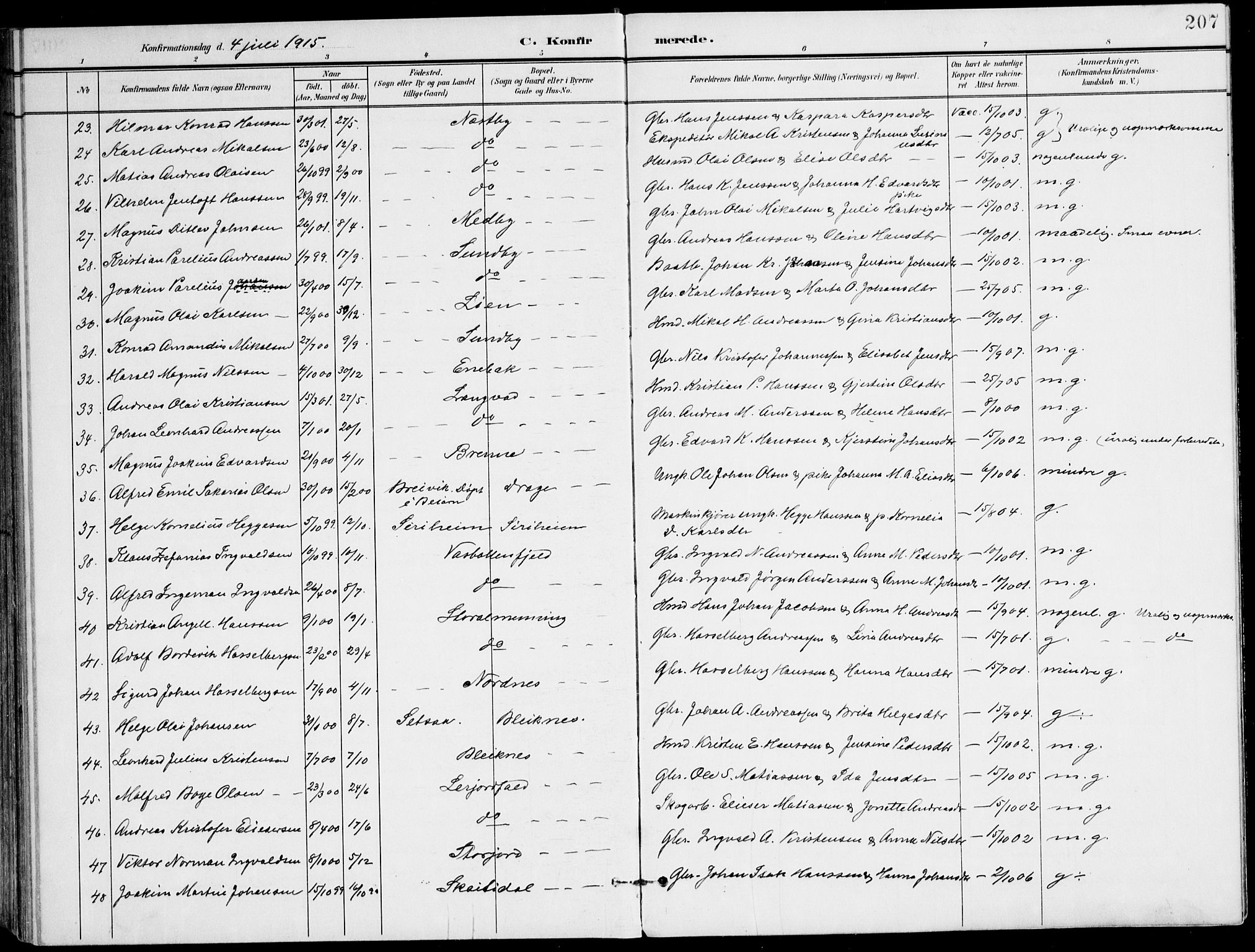 Ministerialprotokoller, klokkerbøker og fødselsregistre - Nordland, AV/SAT-A-1459/847/L0672: Parish register (official) no. 847A12, 1902-1919, p. 207