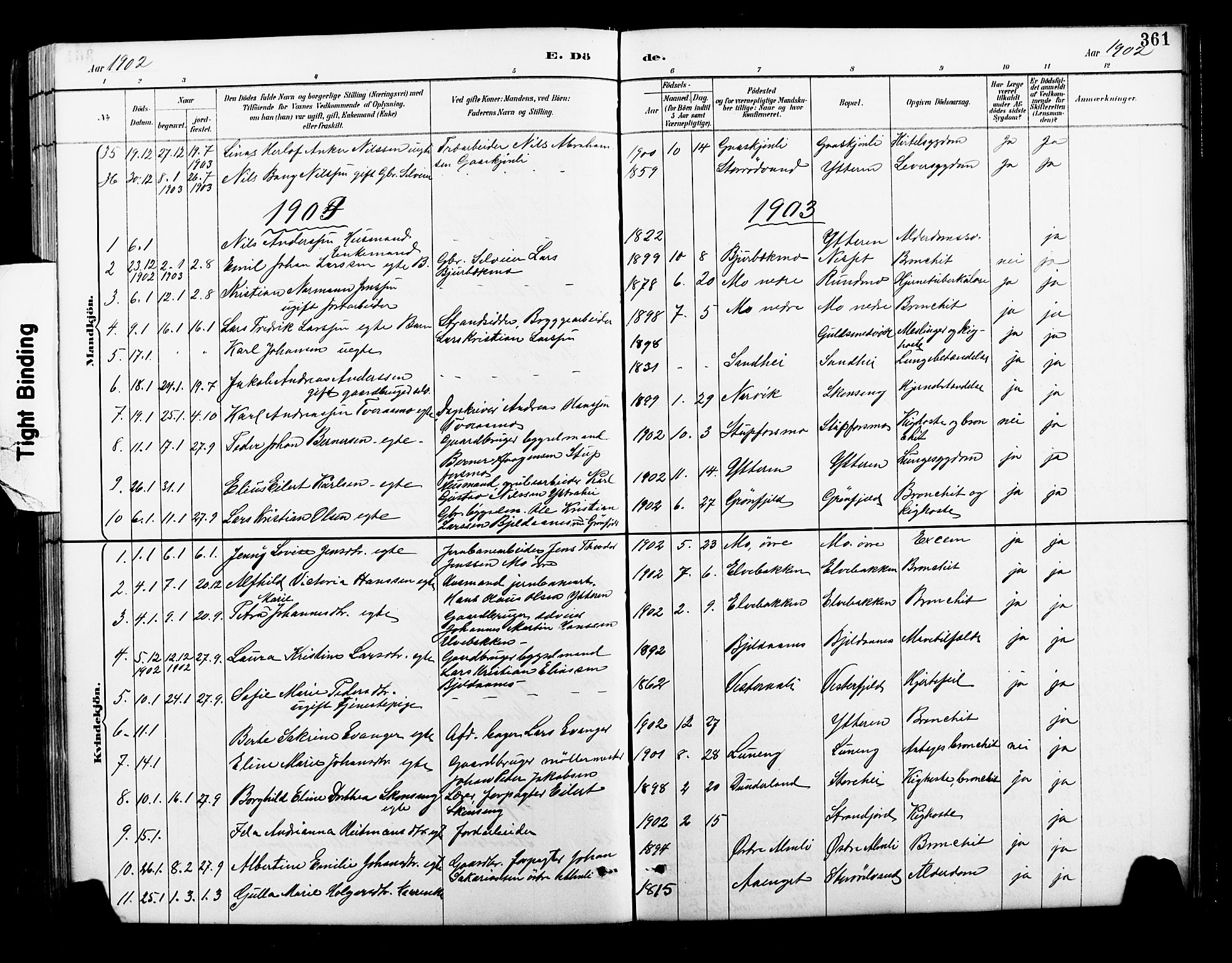 Ministerialprotokoller, klokkerbøker og fødselsregistre - Nordland, SAT/A-1459/827/L0421: Parish register (copy) no. 827C10, 1887-1906, p. 361