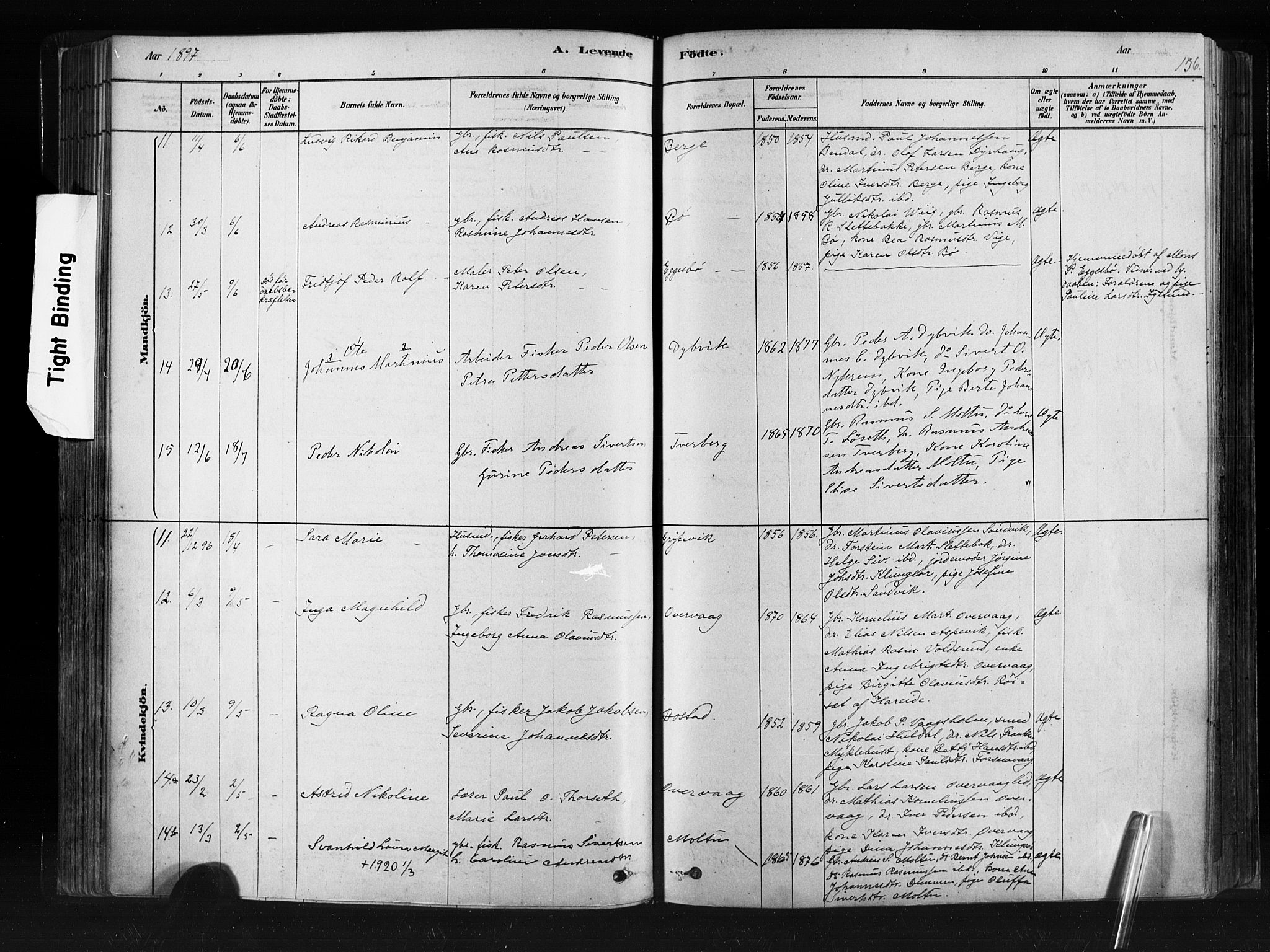 Ministerialprotokoller, klokkerbøker og fødselsregistre - Møre og Romsdal, AV/SAT-A-1454/507/L0073: Parish register (official) no. 507A08, 1878-1904, p. 136