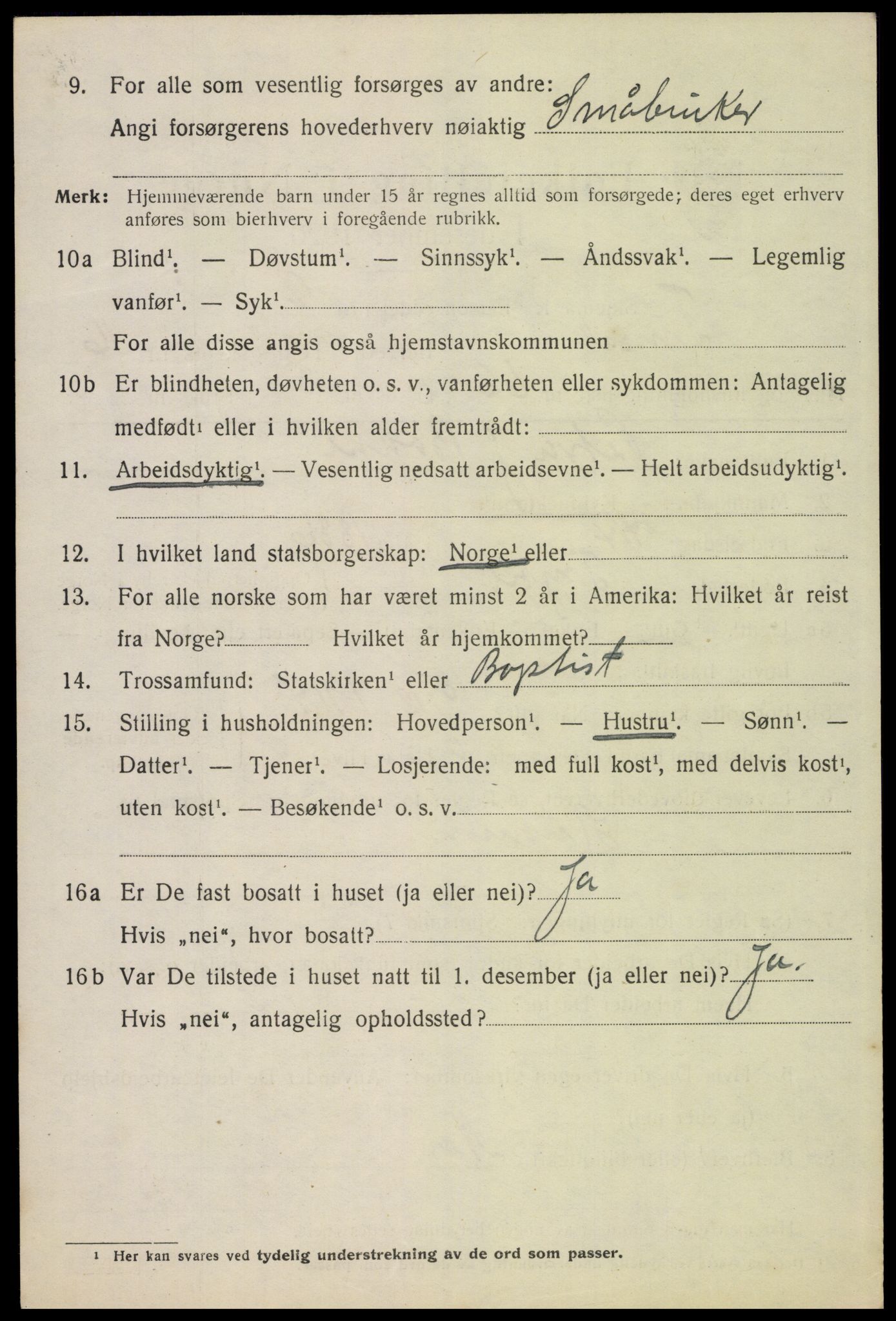 SAH, 1920 census for Trysil, 1920, p. 10158