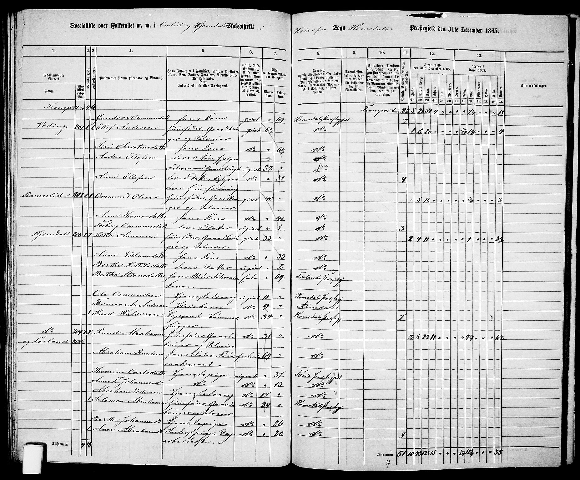 RA, 1865 census for Homedal, 1865, p. 154