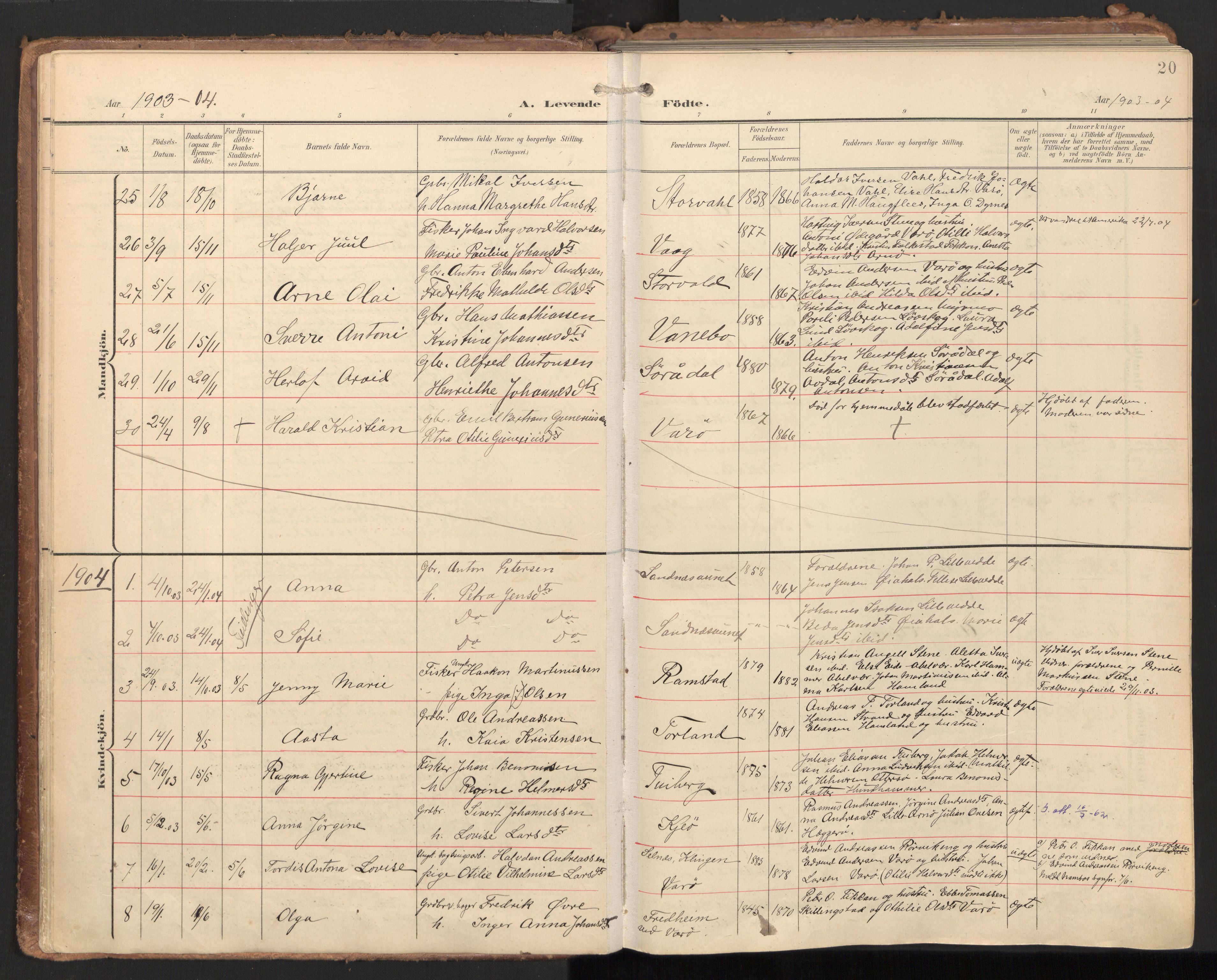 Ministerialprotokoller, klokkerbøker og fødselsregistre - Nord-Trøndelag, SAT/A-1458/784/L0677: Parish register (official) no. 784A12, 1900-1920, p. 20