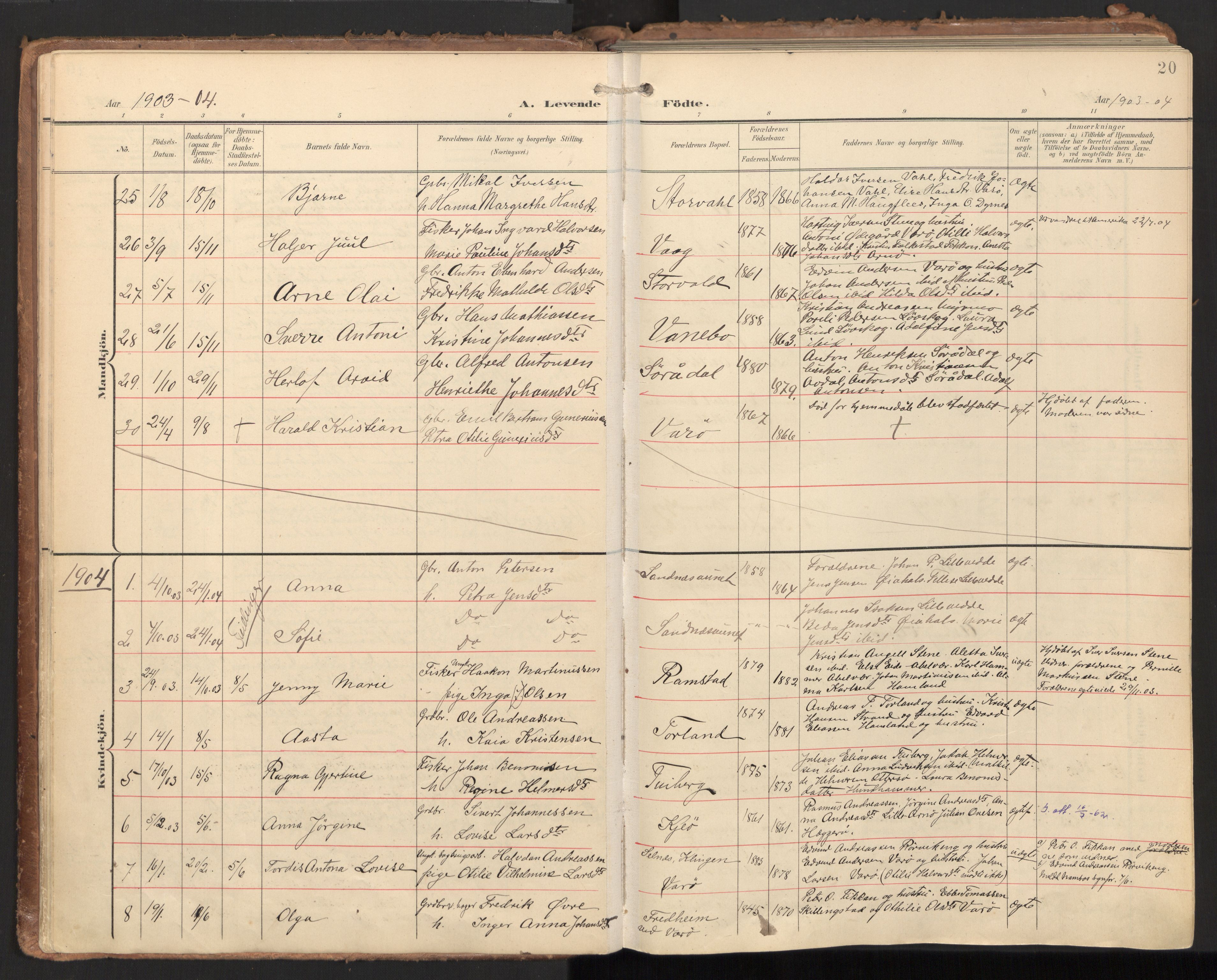 Ministerialprotokoller, klokkerbøker og fødselsregistre - Nord-Trøndelag, AV/SAT-A-1458/784/L0677: Parish register (official) no. 784A12, 1900-1920, p. 20