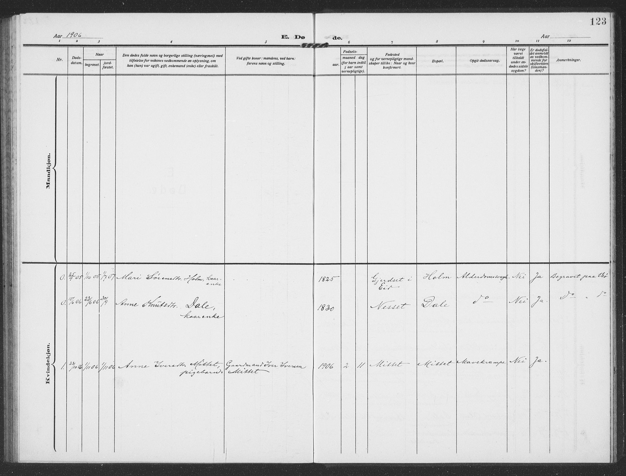 Ministerialprotokoller, klokkerbøker og fødselsregistre - Møre og Romsdal, SAT/A-1454/549/L0615: Parish register (copy) no. 549C01, 1905-1932, p. 123
