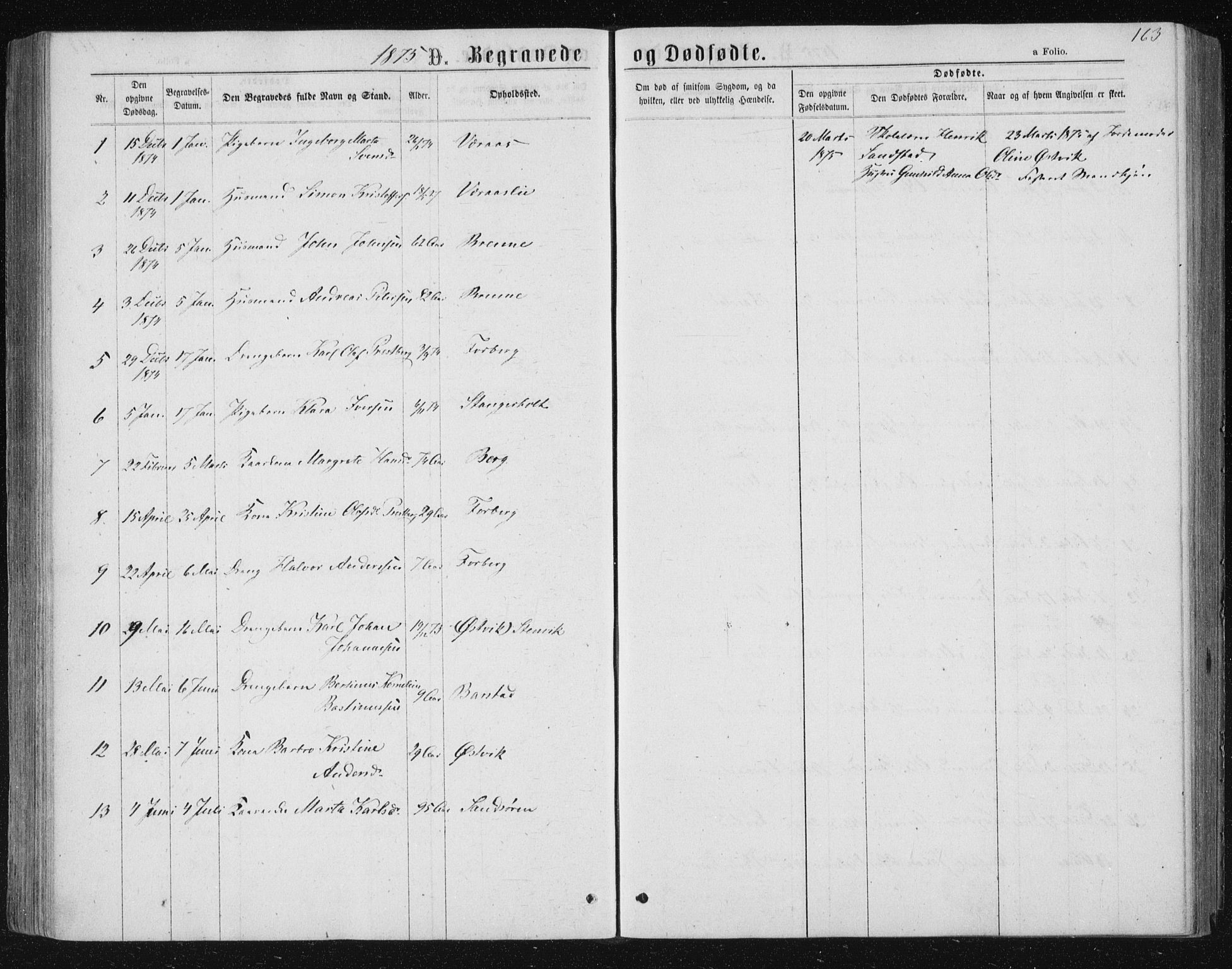 Ministerialprotokoller, klokkerbøker og fødselsregistre - Nord-Trøndelag, SAT/A-1458/722/L0219: Parish register (official) no. 722A06, 1868-1880, p. 163