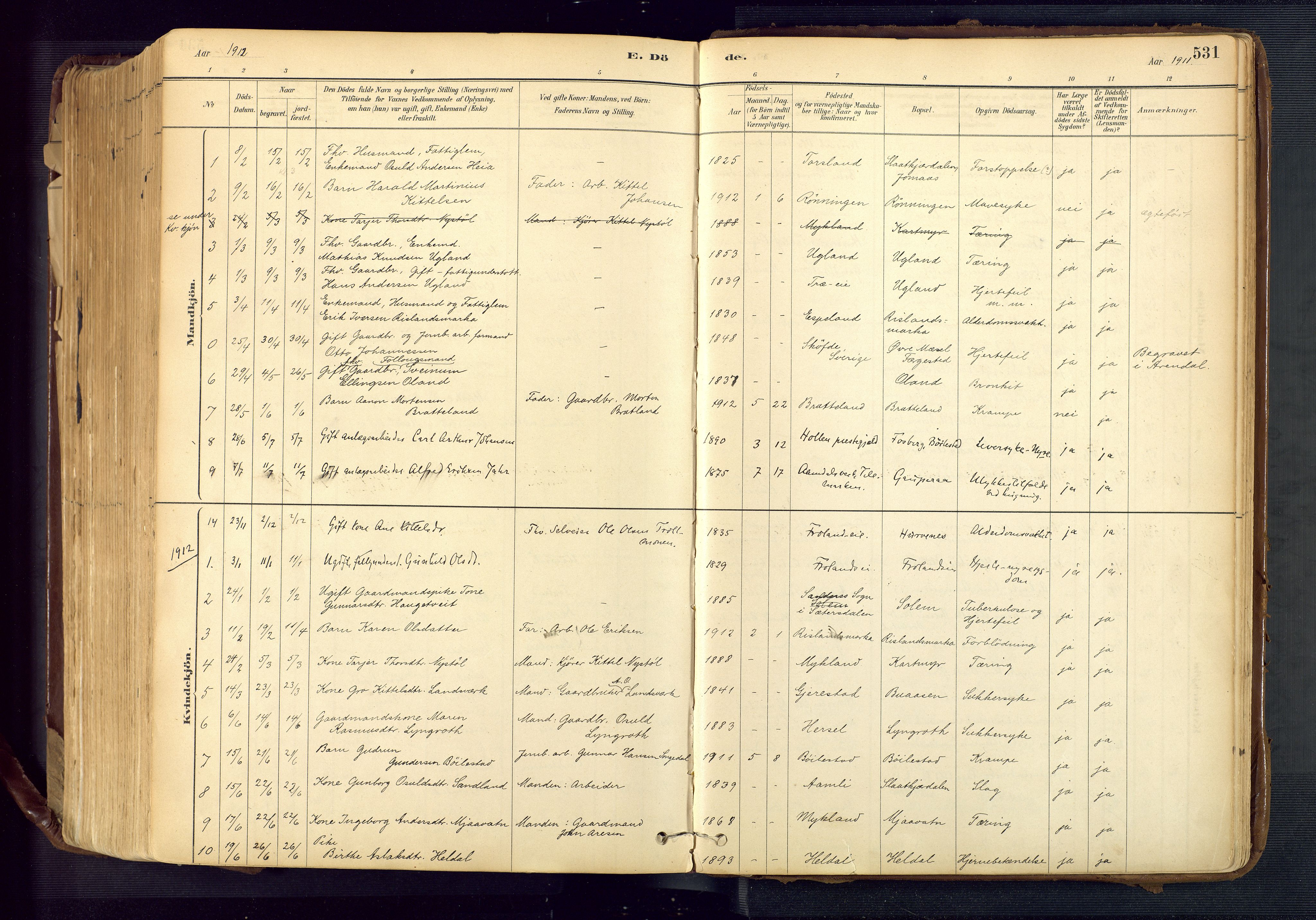 Froland sokneprestkontor, SAK/1111-0013/F/Fa/L0005: Parish register (official) no. A 5, 1882-1921, p. 531