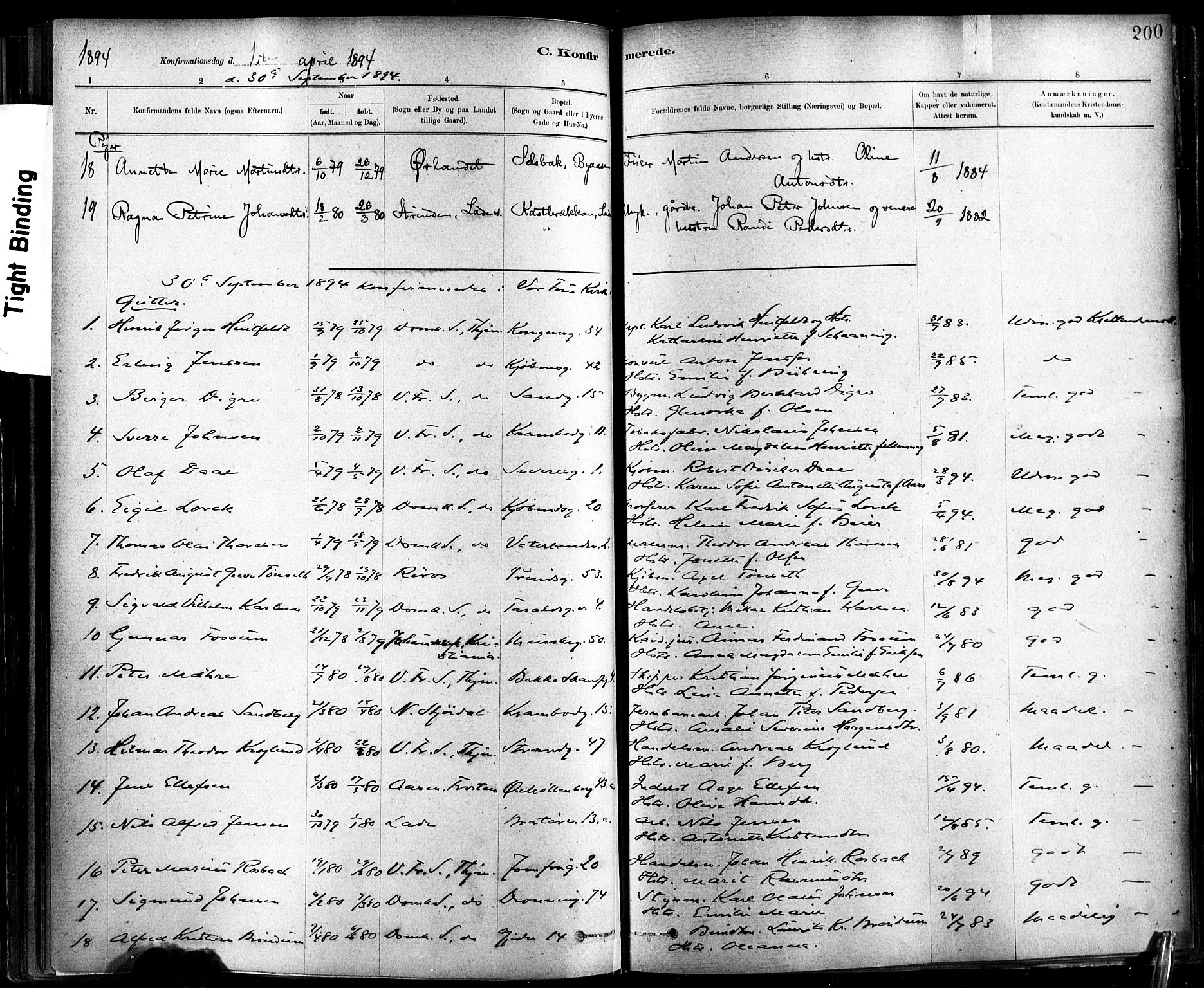 Ministerialprotokoller, klokkerbøker og fødselsregistre - Sør-Trøndelag, AV/SAT-A-1456/602/L0119: Parish register (official) no. 602A17, 1880-1901, p. 200