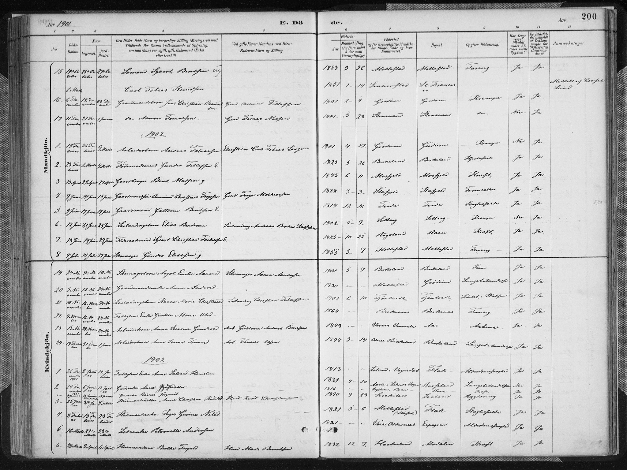 Birkenes sokneprestkontor, SAK/1111-0004/F/Fa/L0005: Parish register (official) no. A 5, 1887-1907, p. 200