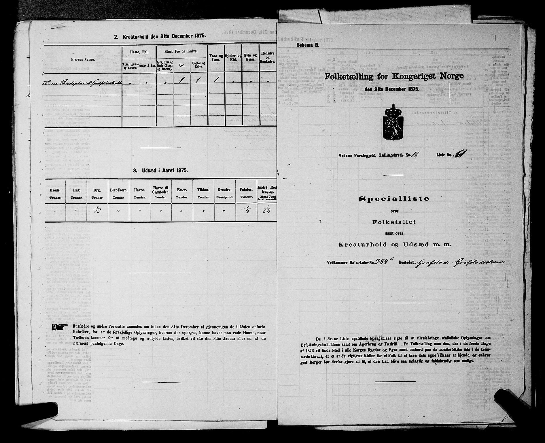 SAKO, 1875 census for 0623P Modum, 1875, p. 2166