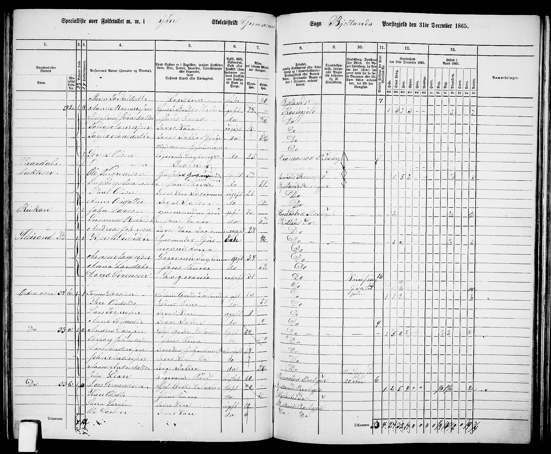 RA, 1865 census for Bjelland, 1865, p. 53