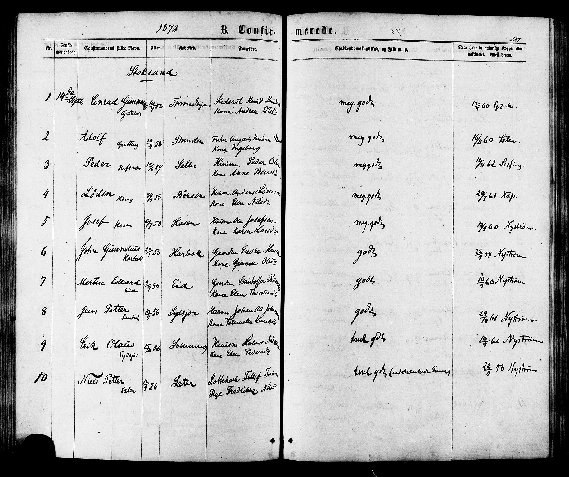 Ministerialprotokoller, klokkerbøker og fødselsregistre - Sør-Trøndelag, AV/SAT-A-1456/657/L0706: Parish register (official) no. 657A07, 1867-1878, p. 247