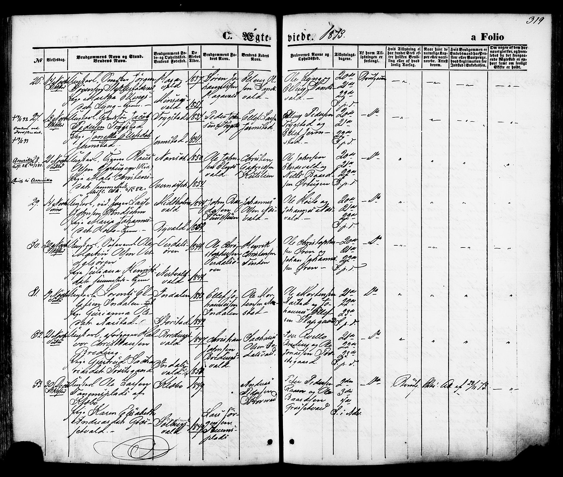 Ministerialprotokoller, klokkerbøker og fødselsregistre - Nord-Trøndelag, AV/SAT-A-1458/723/L0242: Parish register (official) no. 723A11, 1870-1880, p. 319