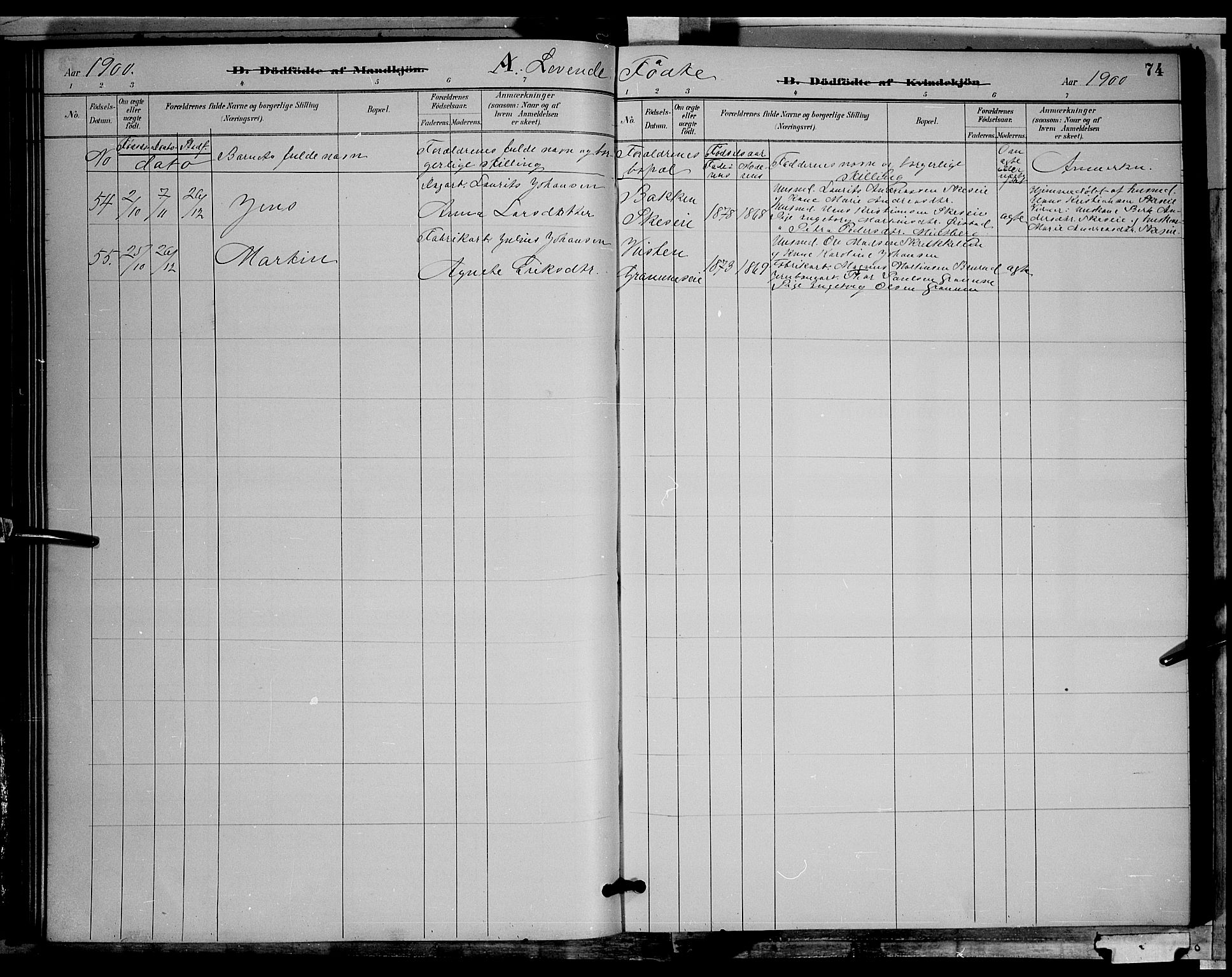 Søndre Land prestekontor, AV/SAH-PREST-122/L/L0002: Parish register (copy) no. 2, 1884-1900, p. 74