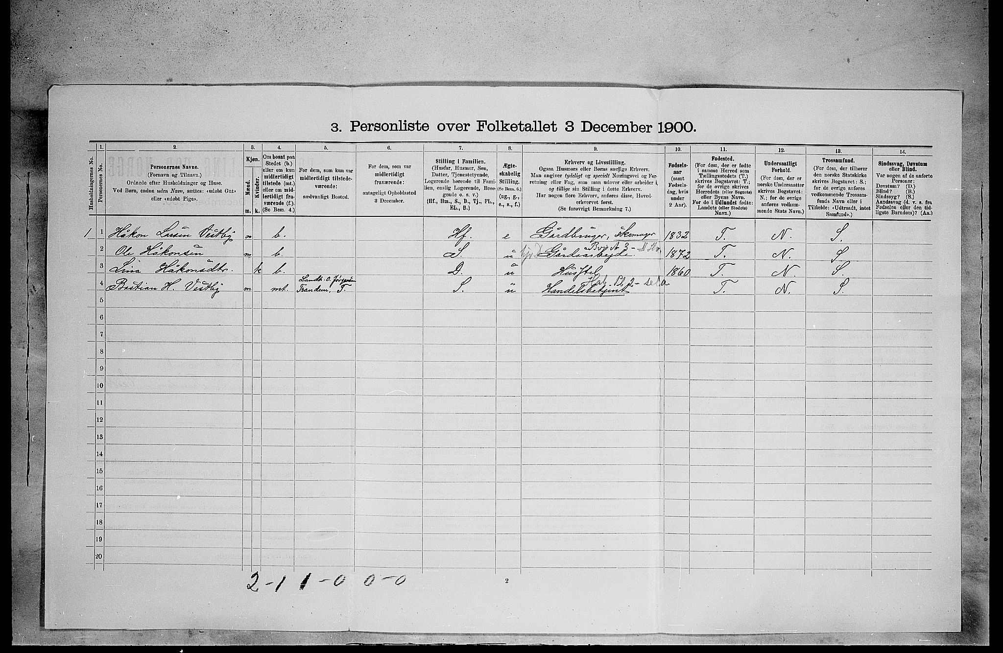 SAH, 1900 census for Eidskog, 1900, p. 1308