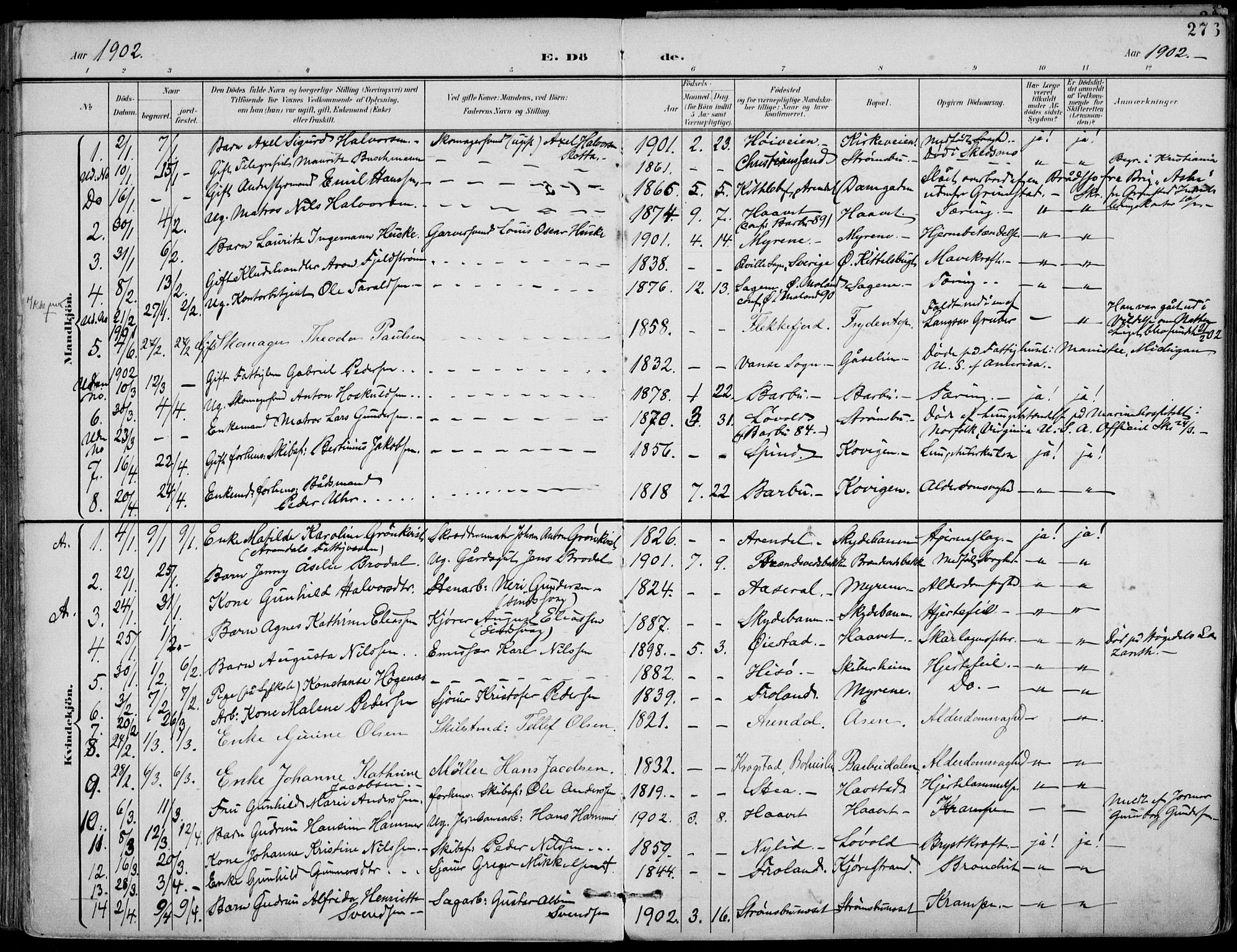 Barbu sokneprestkontor, AV/SAK-1111-0003/F/Fa/L0005: Parish register (official) no. A 5, 1899-1909, p. 276